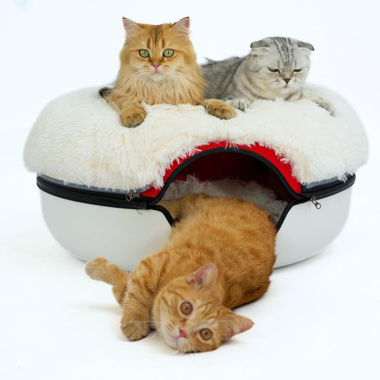 CATTASAURUS Peekaboo Cat Cave for Multiple & Large Cats Up to 30-45 Lbs, Fluffy Cat Beds & Furniture, Scratch Detachable & Washable Tunnel Bed, Comfy Donut Bed (Ruby Snowball, Large (Calming)) - Pet Explorer