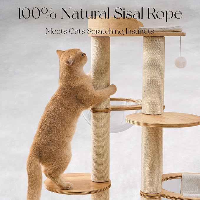 797Audio Modern Solid Wood Cat Tree Tower, 54" Tall Cat Tree with Scratching Posts, Capsule&Hammock, Luxury Natural Oak Wood Cat Tower, Aesthetic Multi-Level Cat Climbing Tree for Large Indoor Cats
