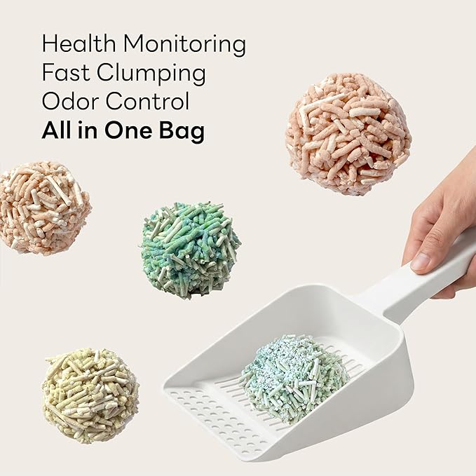Smart Health Monitoring Cat Litter – Color-Changing, Fast Clumping, Odor Control, Low Dust | 3-Pack,Free cat scartcher