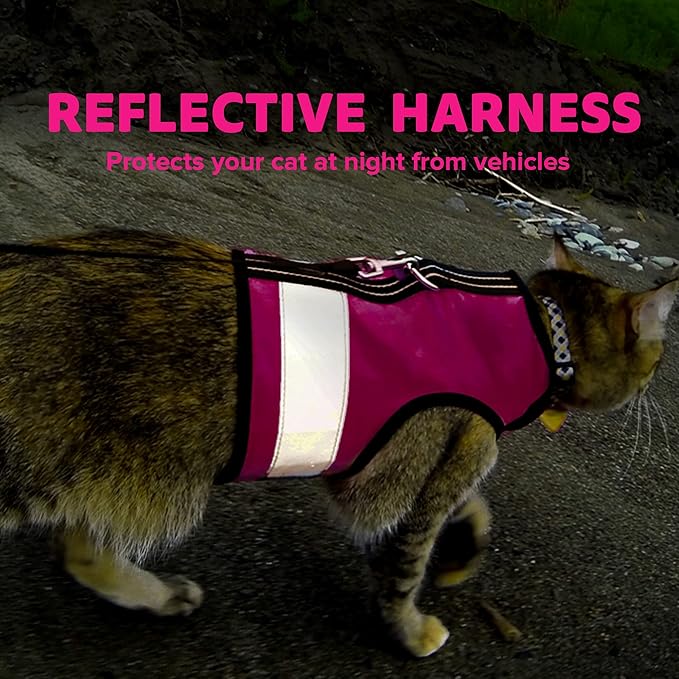 Kitty Holster Reflective Cat Harness – High-Visibility Cat Harness for Travel, Day and Night Walking - Soft Cotton Cat Accessories, Breathable, Secure & Washable, Made in USA - Flamingo Pink, S to M