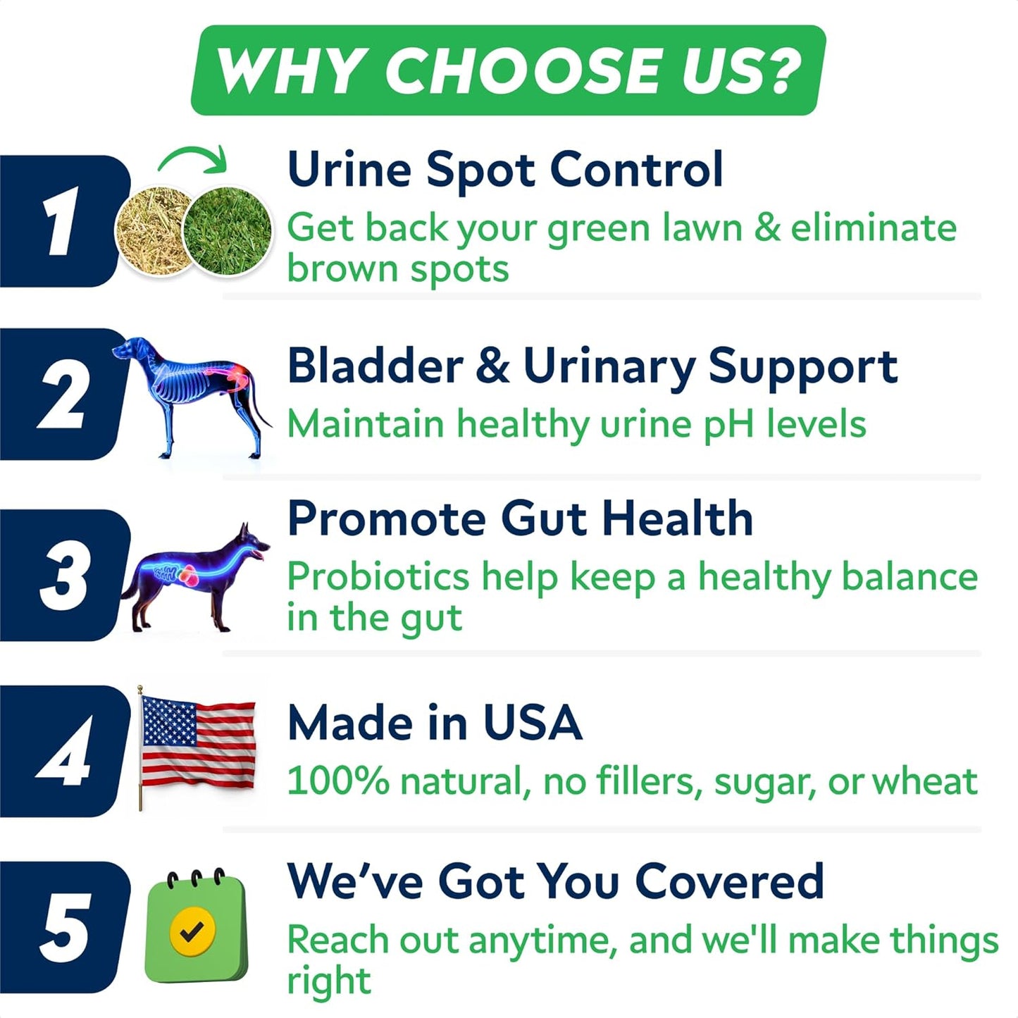 STRELLALAB Green Grass Dog Chews - Dog Pee Grass Helper - Supplement Urine Neutralizer for Grass Burn Spots - Grass Treatment for Pet Urine - Pee Lawn Repair Treats with Probiotics - Made in USA - Pet Explorer