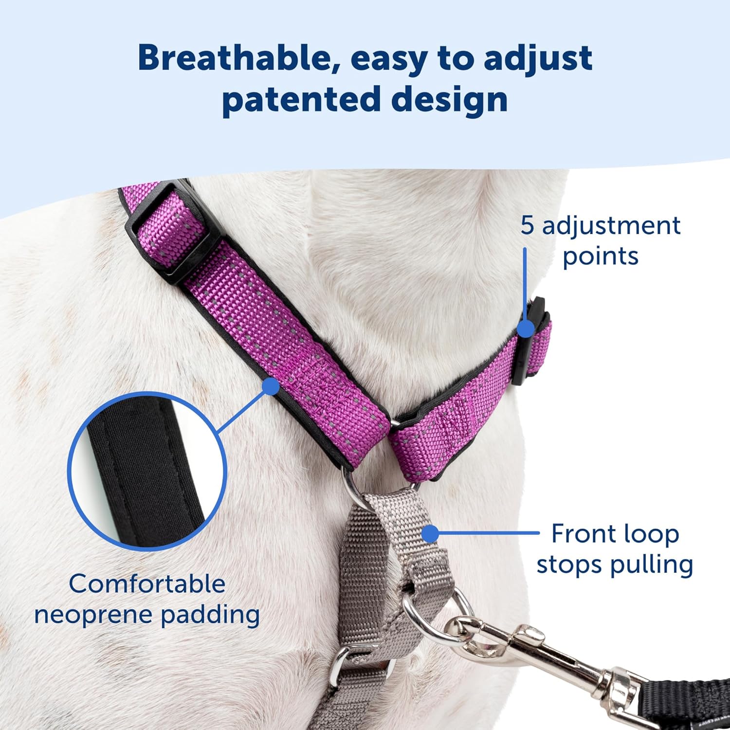 PetSafe 3 in 1 Dog Harness - No Pull Solution for Dogs - Reflective Dog Harness - Front D-Ring Clip Helps Stop Pulling - Comfortable Padded Straps - Top Handle Enhances Control - Black - Extra Small - Pet Explorer