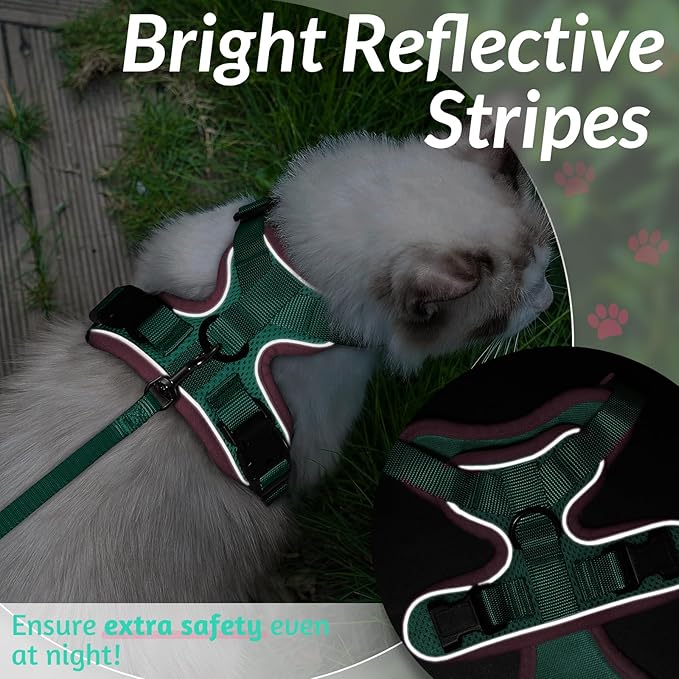 rabbitgoo Cat Harness and Leash for Walking, Escape Proof Soft Adjustable Vest Harnesses for Cats, Easy Control Breathable Reflective Strips Jacket, Green&Pink, S
