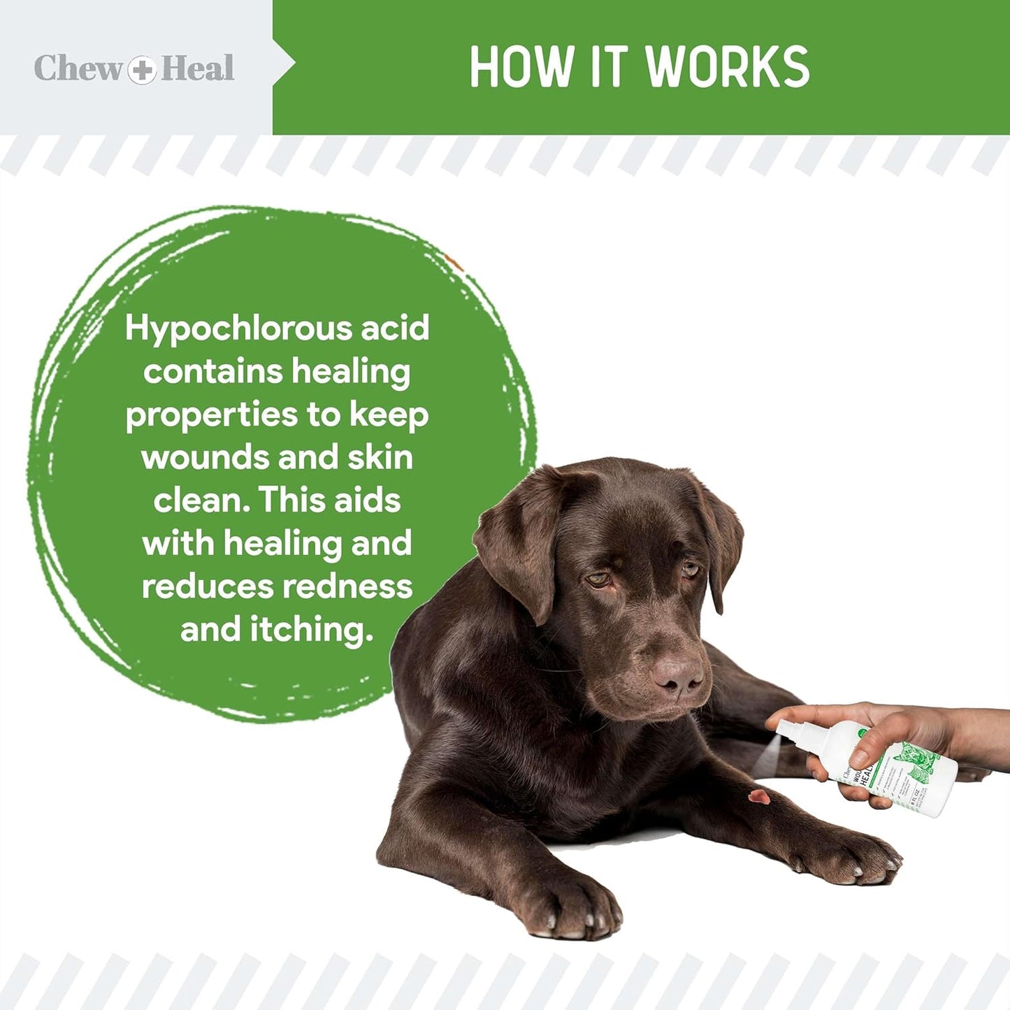 Hypochlorous Acid Spray for Dogs – 4oz Dog Wound Spray for Cuts, Burns, Sores, Abrasions, and More – Non Toxic and Chemical Free HOCI Wound Care – Made in The USA - Pet Explorer