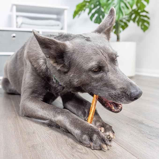 Wild Eats Real Salmon Collagen Sticks for Dogs, (15ct, 1cm Thick) Healthy Bully Stick - Long Lasting Dog Chew Treat