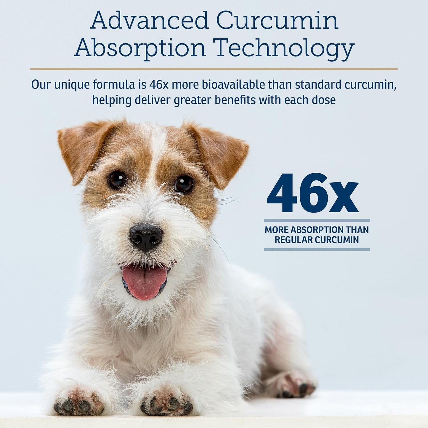 Rx Vitamins CurcuWIN - Curcumin for Dogs & Cats - Vitamins and Supplements, Allergy Relief - Provides Immune Support & Aids Digestive Support - Joint Supplement - 90ct - Pet Explorer