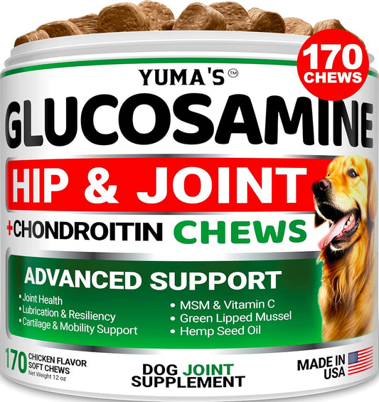 YUMA'S Glucosamine for Dogs - Hip and Joint Supplement for Dogs - 170 Ct - Glucosamine Chondroitin Chews - Joint Pain Relief Supplement with MSM - Advanced Health - Mobility Support - Made in USA - Pet Explorer