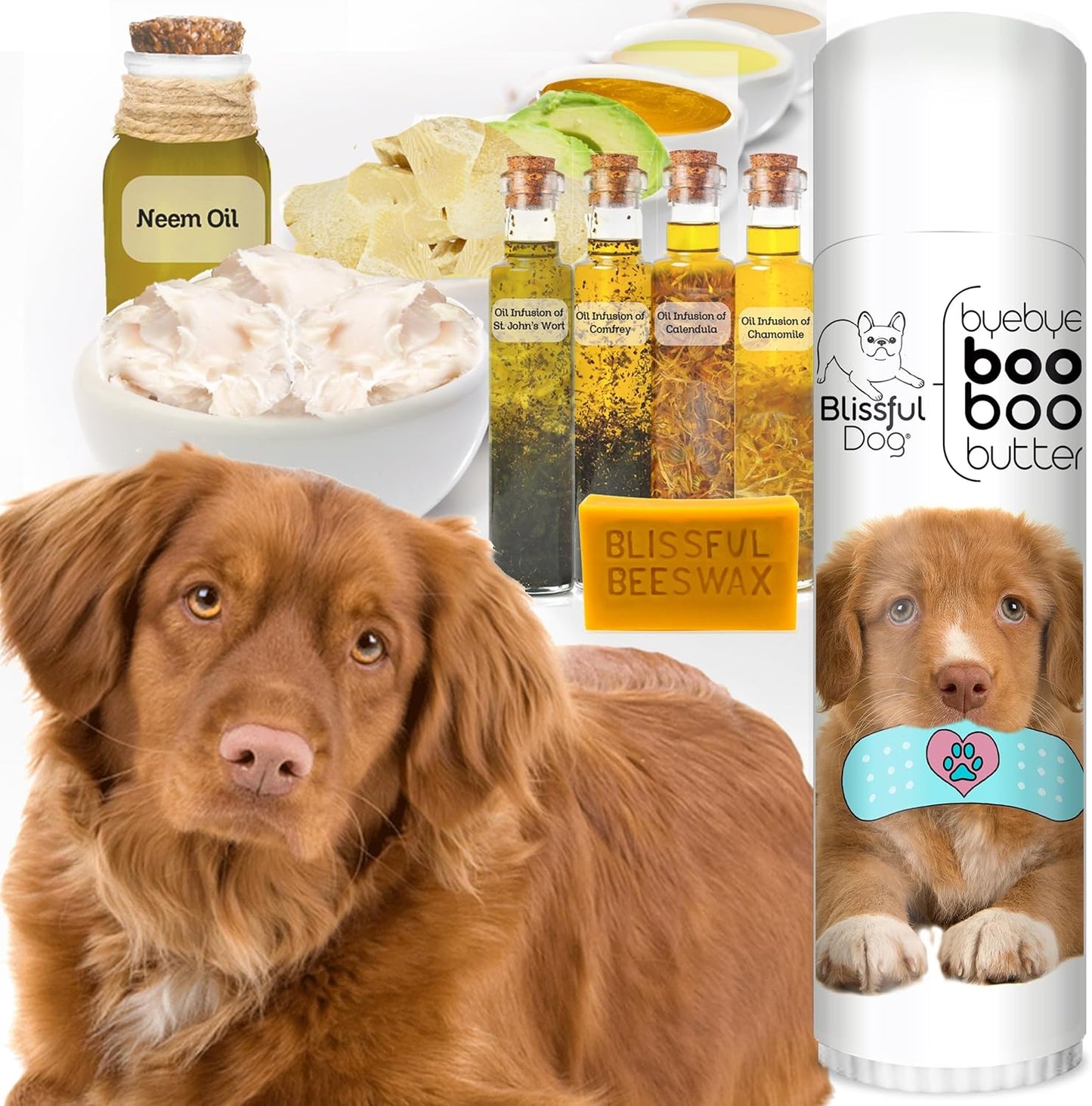 The Blissful Dog Nova Scotia Duck Tolling Retriever Boo Boo Butter, 0.50-Ounce - Pet Explorer