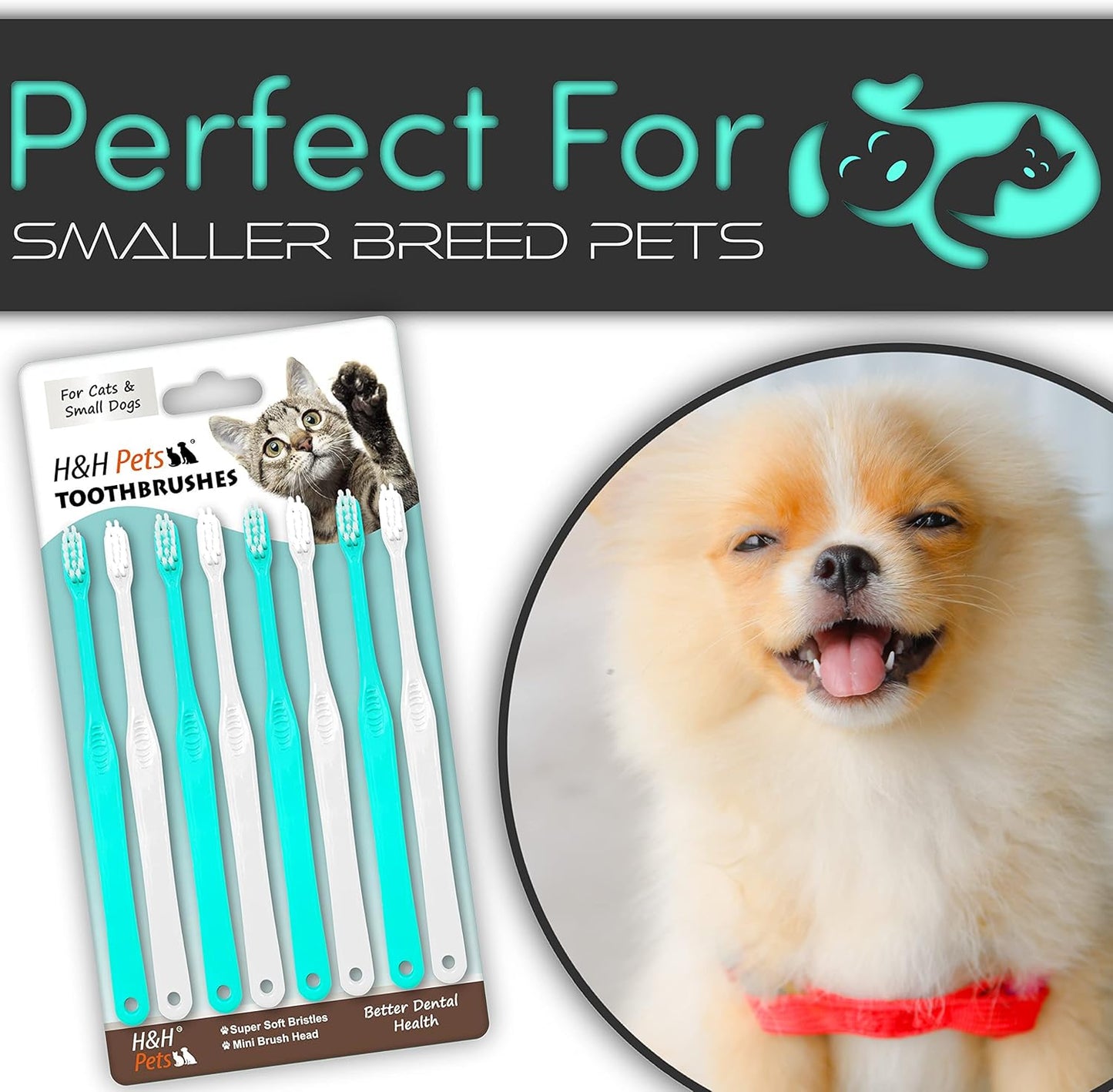 H&H Pets Toothbrush for Small Dogs & Cats - Soft and Extra Small Toothbrush Designed for Cats, Puppies, and XS Breed Dogs Like Teacups, Chihuahuas, Yorkshire, and Poodle, 8 Count Pack - Pet Explorer