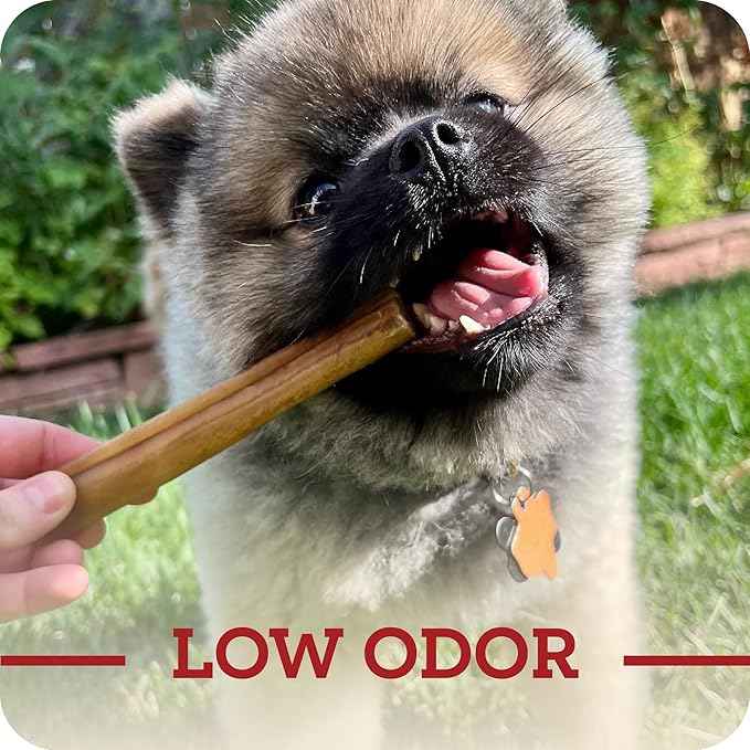 Redbarn Pet Products All-Natural Small 6" Beef Collagen Sticks for Dogs - Long Lasting Low-Odor Alternative to Traditional Rawhide & Bully Sticks - Supports Healthy Joints, Skin, & Coat - 5 Pack