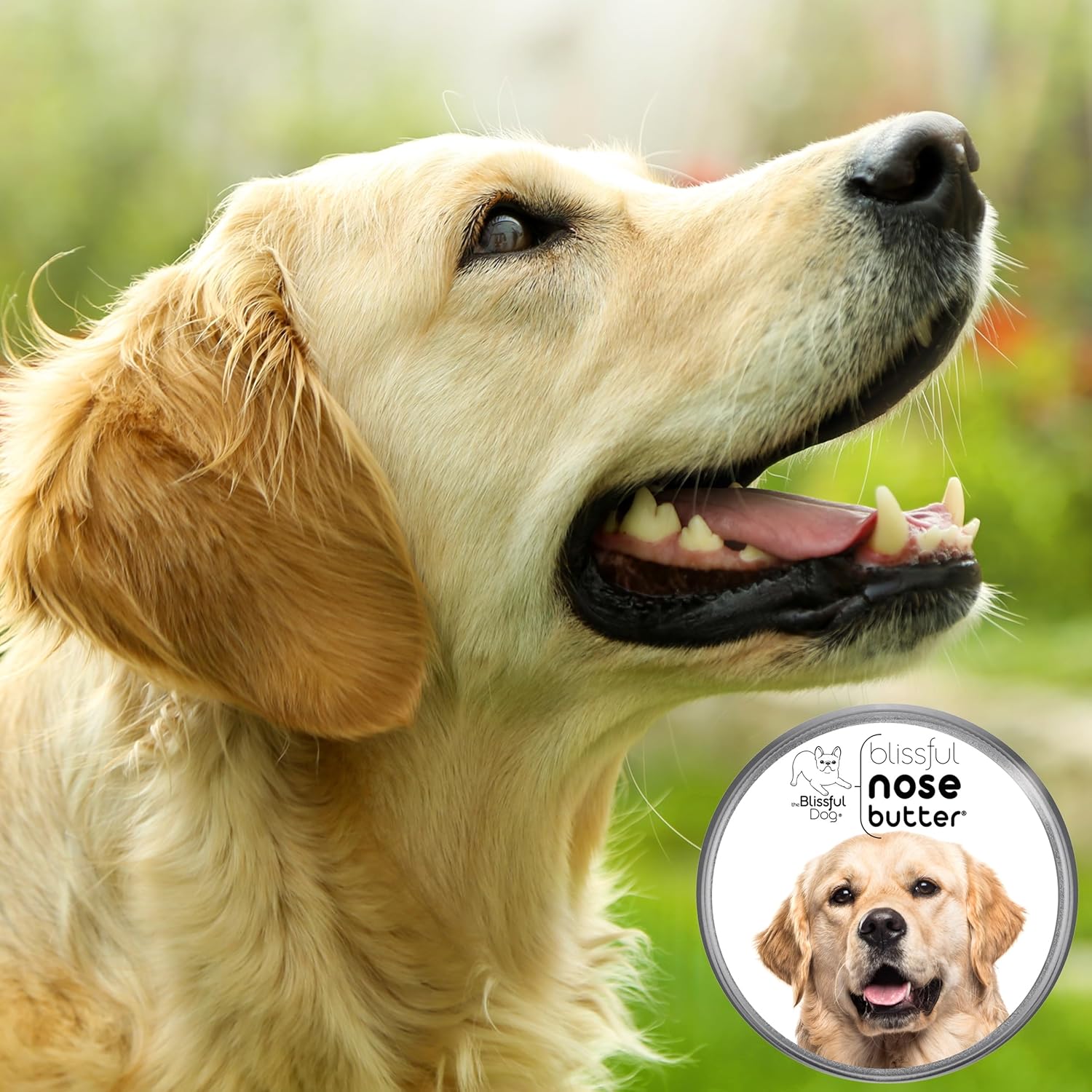 The Blissful Dog Golden Retriever Nose Butter, Versatile Dog Nose Balm for Dry Nose, Handcrafted Nose Moisturizer, Easy-to-Apply Dog Essentials, Unscented, 1 oz. - Pet Explorer