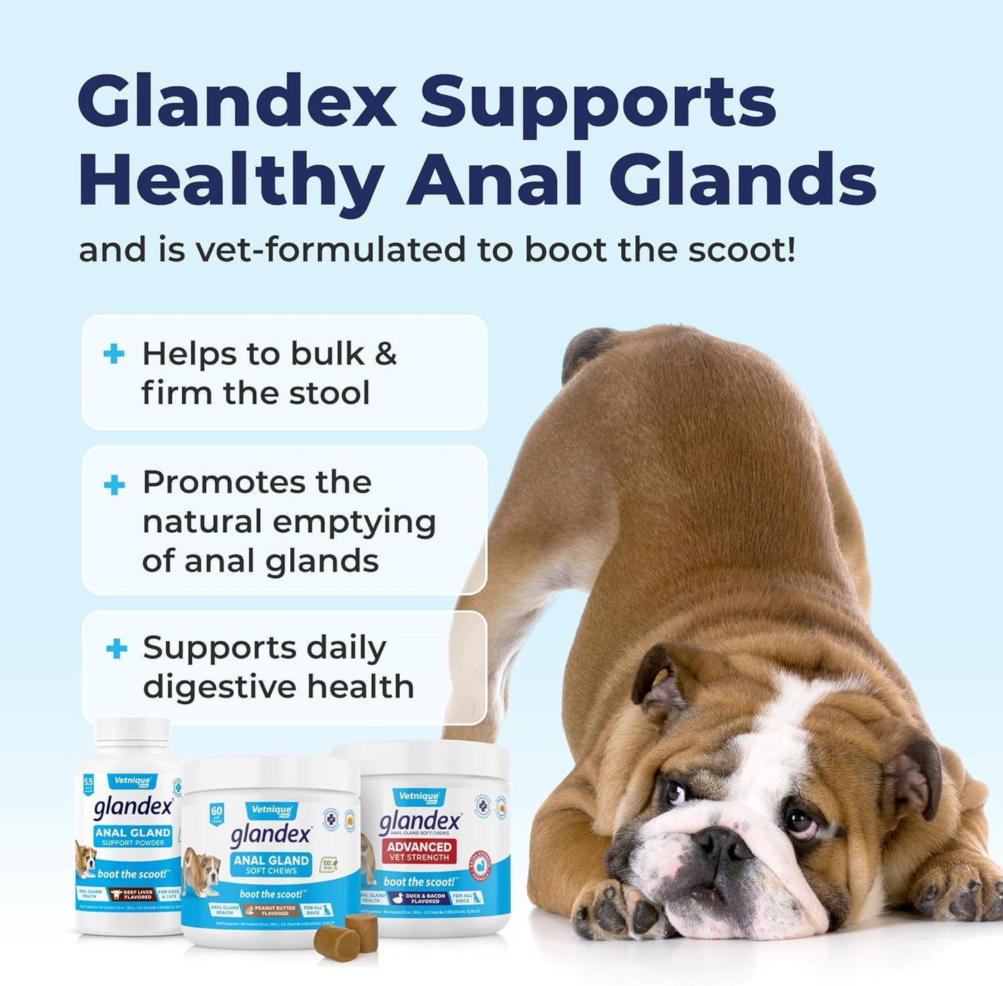 Vetnique Labs Glandex Dog Fiber Supplement Powder for Anal Glands with Pumpkin, Digestive Enzymes & Dog Probiotics for Digestive Health - Vet Recommended - Boot The Scoot (Beef Liver, 4.0oz Powder) - Pet Explorer