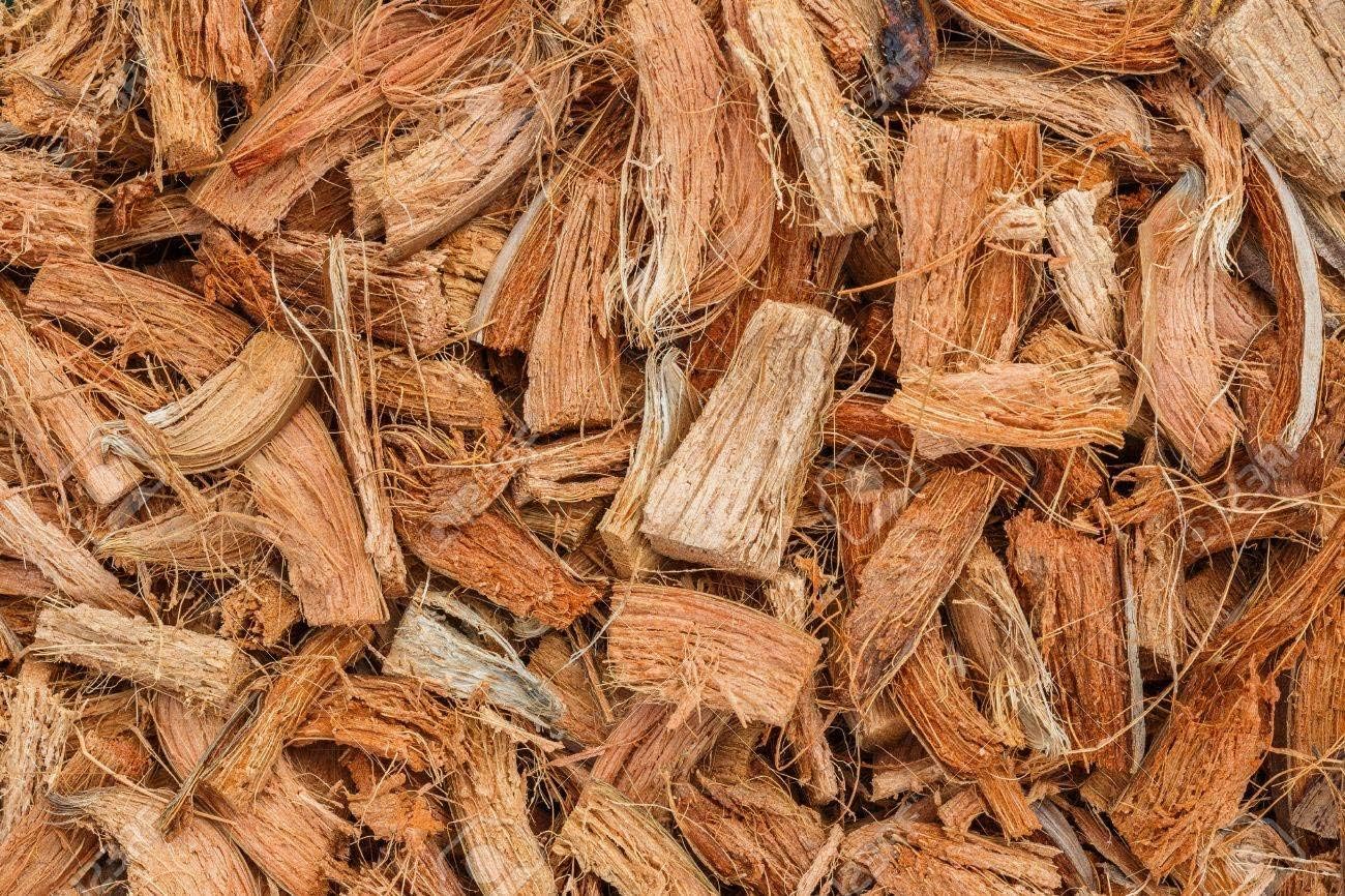Organic Coco Chips for Plants (10lbs) - Coco Coir Chips - Coconut Husk Chips for Potting Soil, Garden Soil, & Seed Starter Soil - Coconut Mulch for Garden - Compressed Coconut Chips for Plants - Pet Explorer