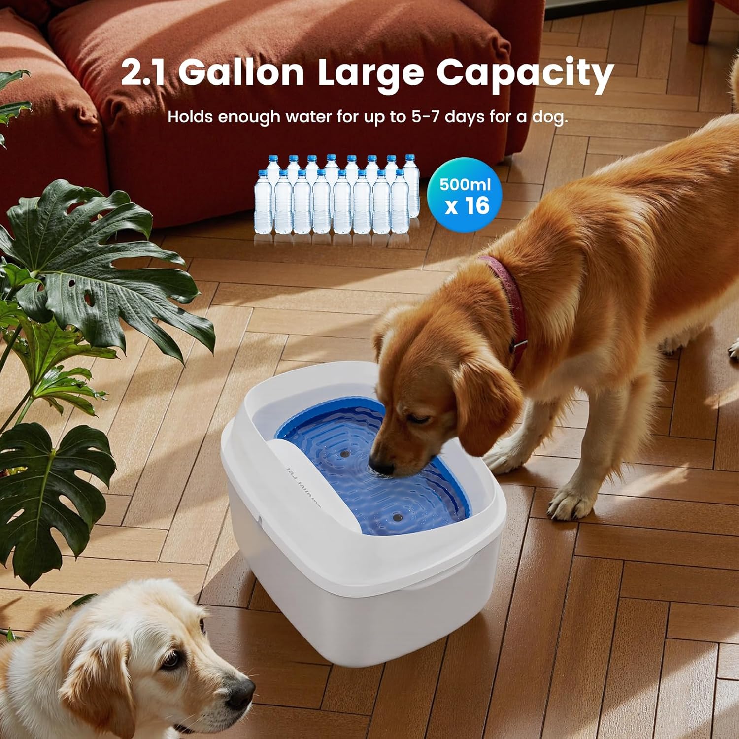 Gardner Pet Dog Water Fountain for Large Dogs, 8L/2.1Gal Large Capacity Automatic Dog Water Bowl Dispenser with Vortex Circulation, Maifan Stone Filter, Splash-Proof, Quiet Cat & Dog Water Bowl - Pet Explorer