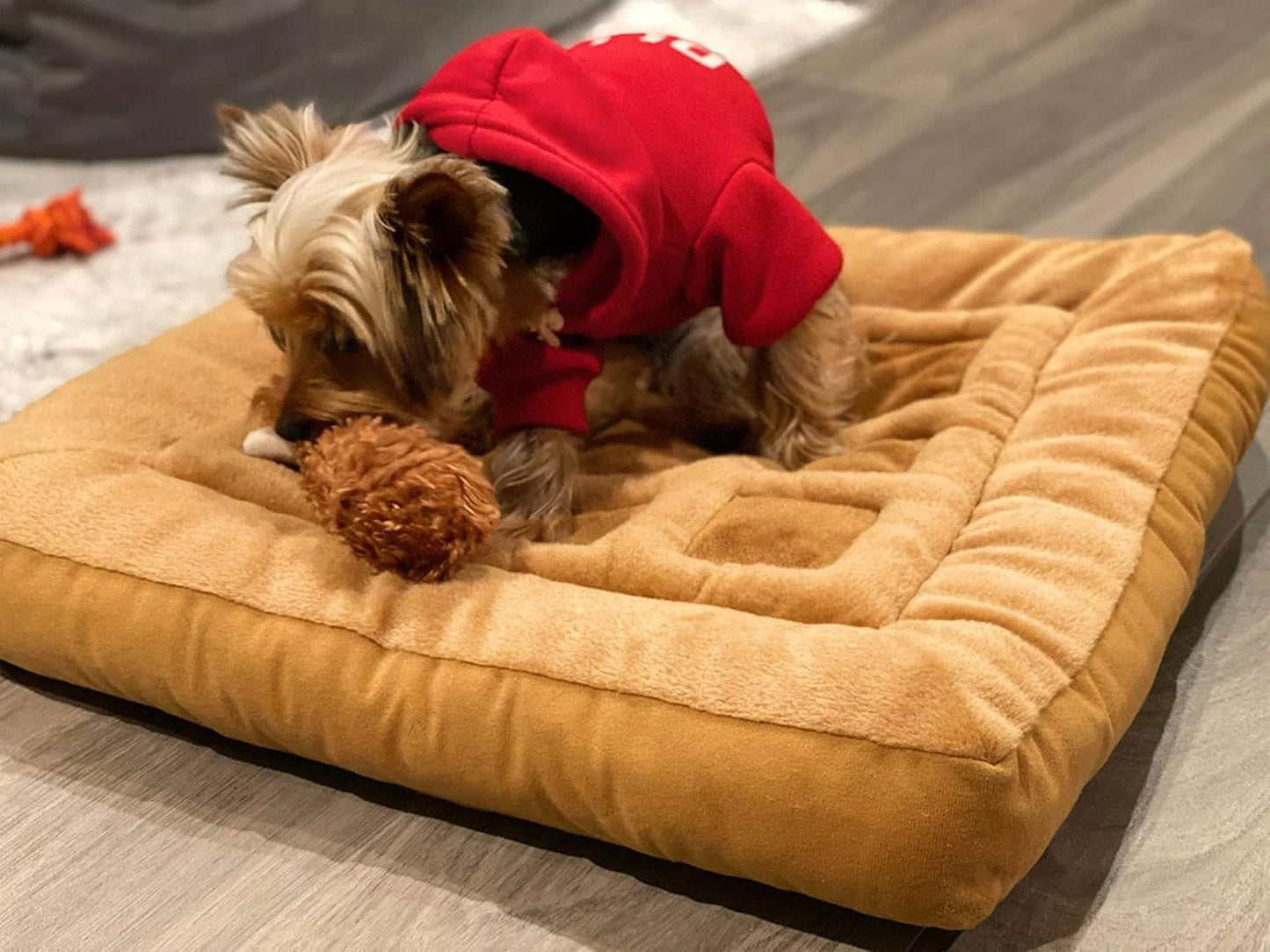 TONBO Soft Plush Small Cute and Cozy Chicken and Waffles Dog Cat Bed, Chicken Crinkle Toy Included, Washer and Dryer Friendly (Brown) - Pet Explorer