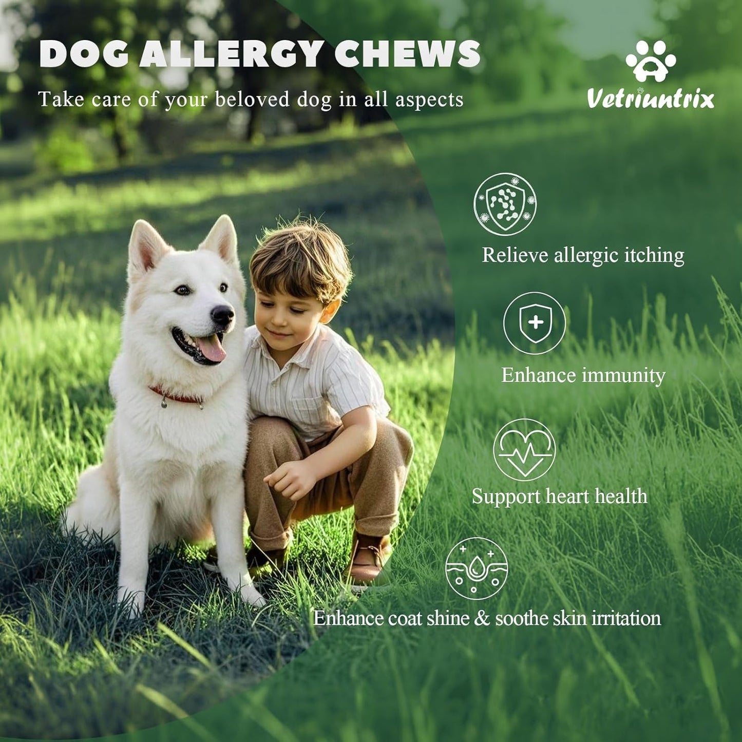 Dog Allergy Chews, Dog Itch Relief Chews for Large Dogs Paw Licking Itchy Skin, Probiotics with Omega-3 Turmeric Astragalus for Coat Immune Supplement-200ct