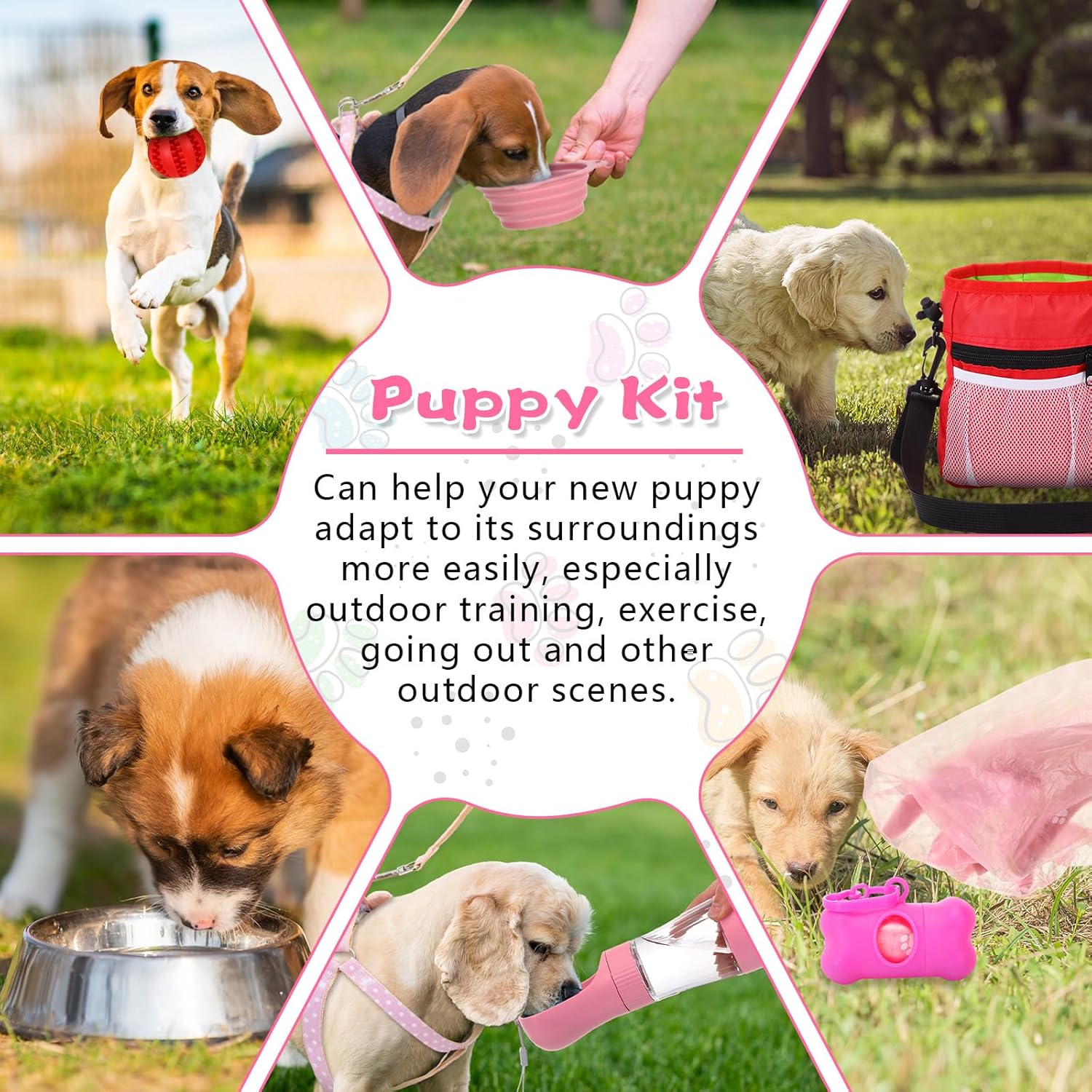 65 Pcs Puppy Supplies Starter Kit Small Dog Essentials Includes Dog Leash, Toys, Bowl, Brushes, Water Bottles, pet Blankets Puppy Accessories for New Welcome Gift Supplies(Cute,Pink) - Pet Explorer