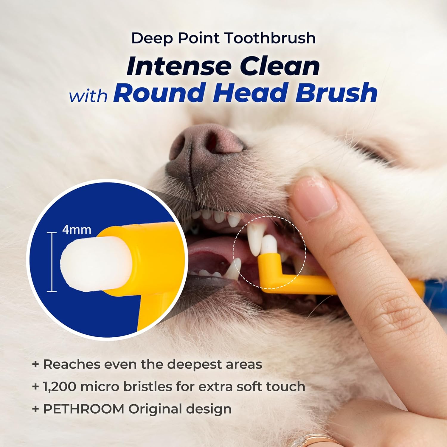 PETHROOM] Pet Toothbrush for Cats and Dogs | Round Shaped Head with Ultra Soft Bristle for Deep Cleaning Dental Care, Kitten and Small Dogs, Tartar Plaque Removal (Deep Point) - Pet Explorer
