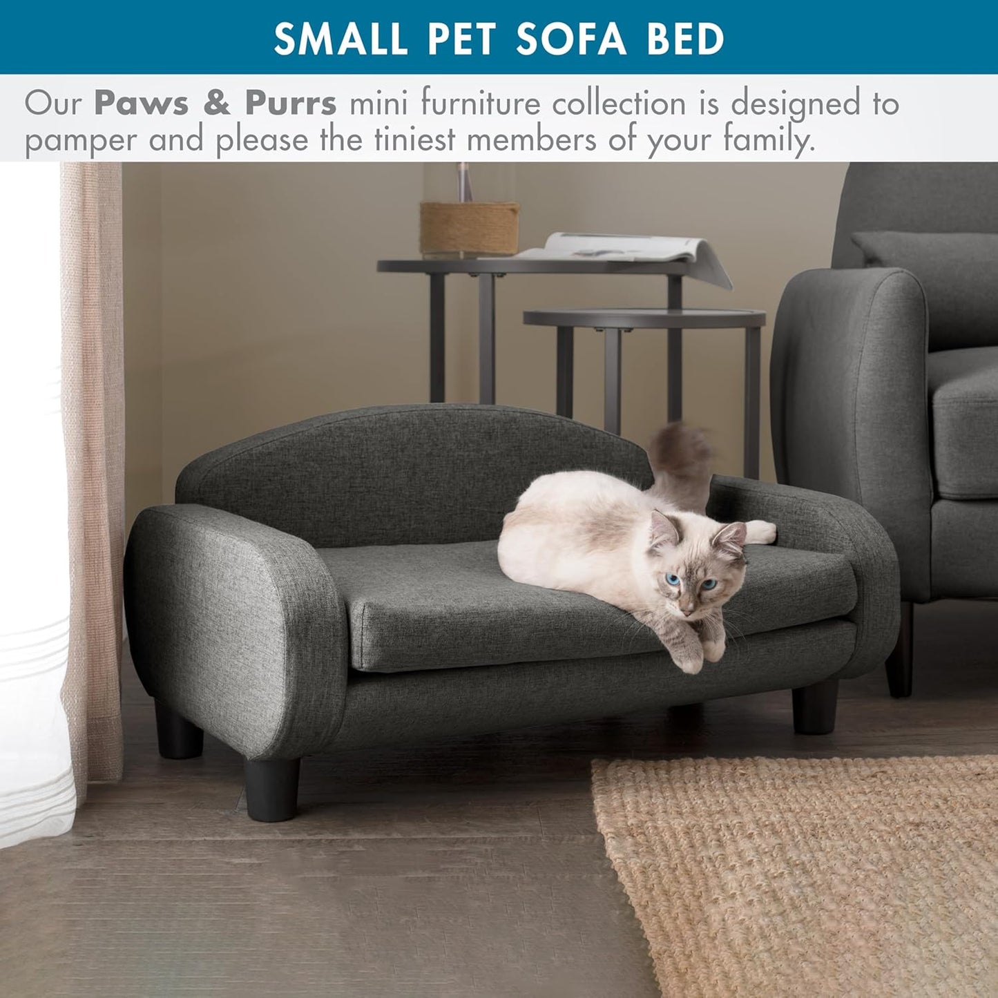 Paws & Purrs Cat Sofa Bed, Pet Couch for Indoor Cats Elevated Cat Beds with Removable Washable Mattress Cover for Kitten, Puppy or Small Animal- 31.5" Wide, Gray - Pet Explorer