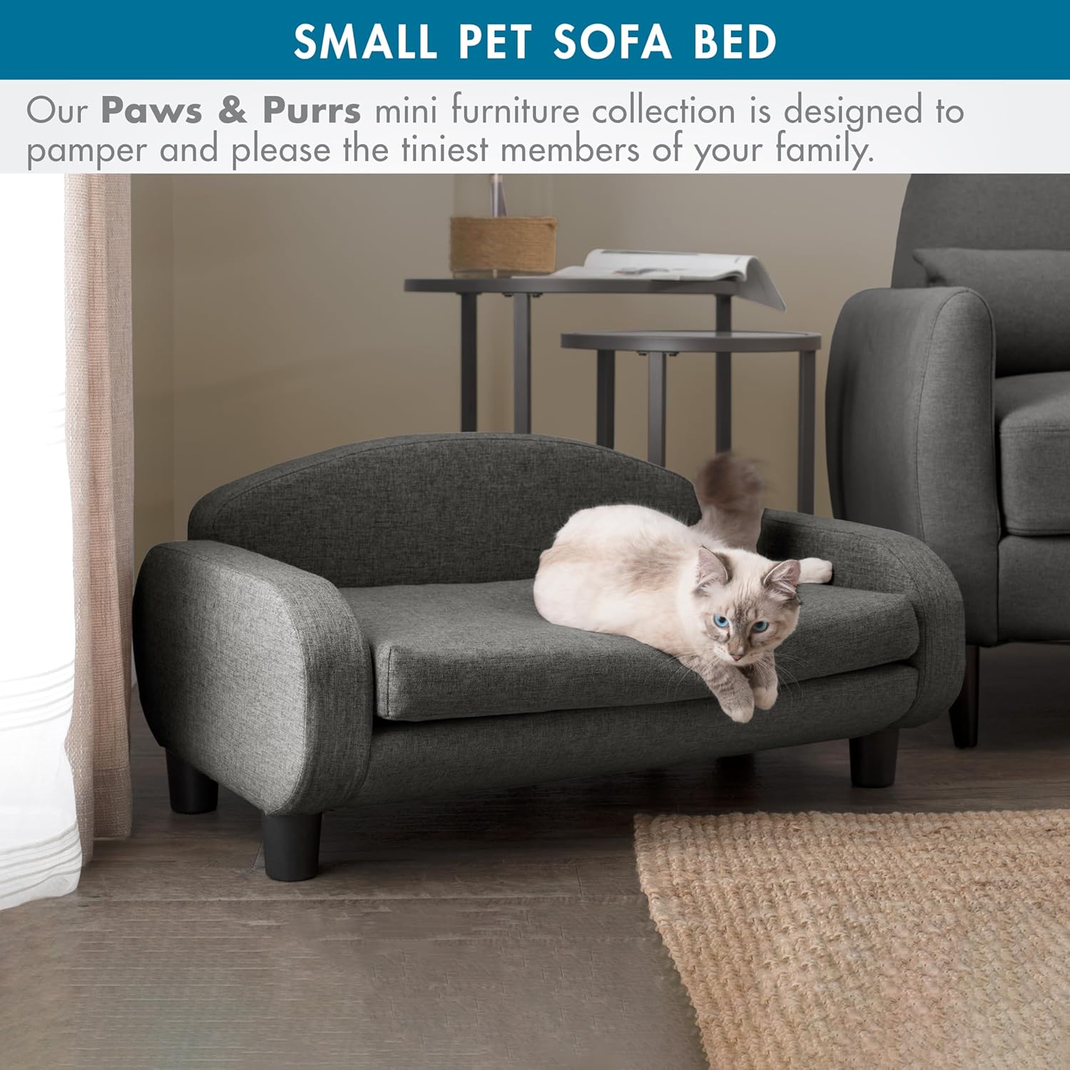 Paws & Purrs Cat Sofa Bed, Pet Couch for Indoor Cats Elevated Cat Beds with Removable Washable Mattress Cover for Kitten, Puppy or Small Animal- 31.5" Wide, Gray - Pet Explorer