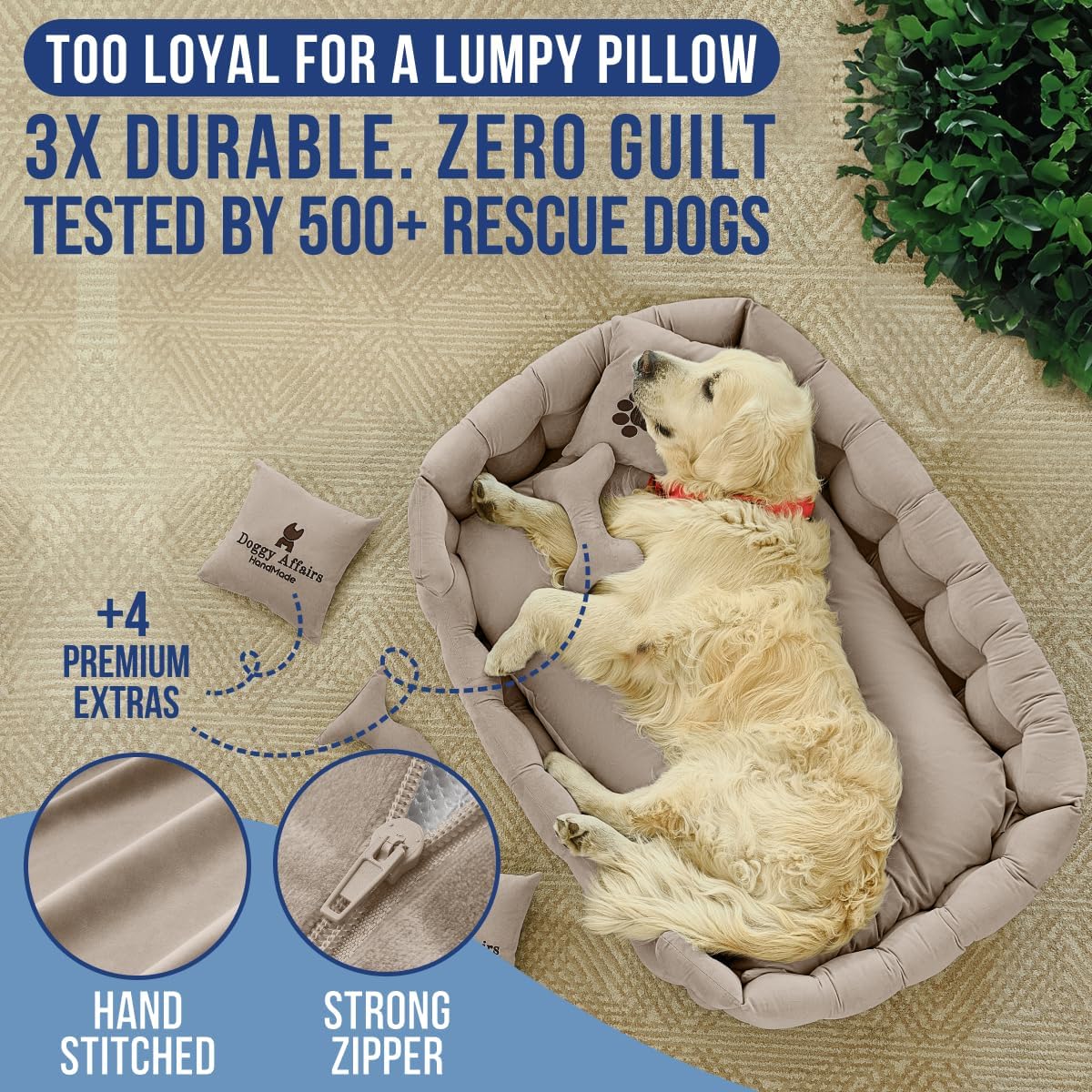 Luxury Dog Bed Chesterfield – Handcrafted Velvet Throne for Dogs | Joint Support, Calming & Temp-Regulating Comfort | Durable 5+ Years, Anti-Claw, Washable 100+ Times – XL, Ivory - Pet Explorer