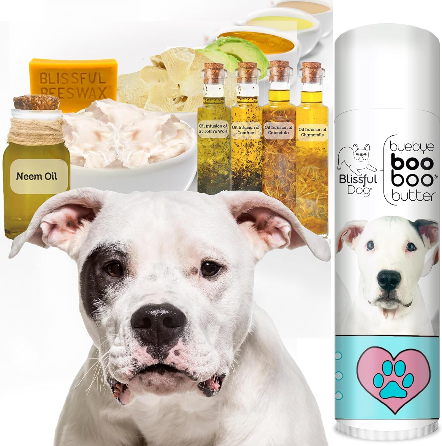 The Blissful Dog Dogo Argentino Boo Boo Butter, 0.50-Ounce - Pet Explorer