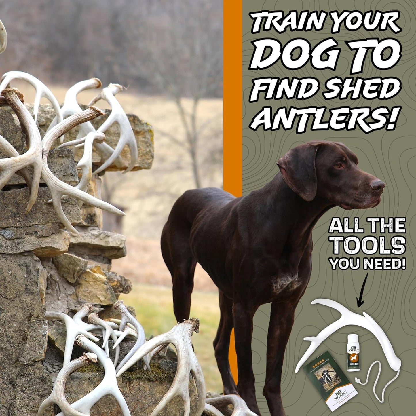 DogBone Shed Hunting Dog Training Kit – Train Your Puppy to Find Deer Antlers - Includes 2 oz Scent for Nosework & Flexible Floating Dummy for Retrieving - Perfect for Whitetail Hunters - Pet Explorer