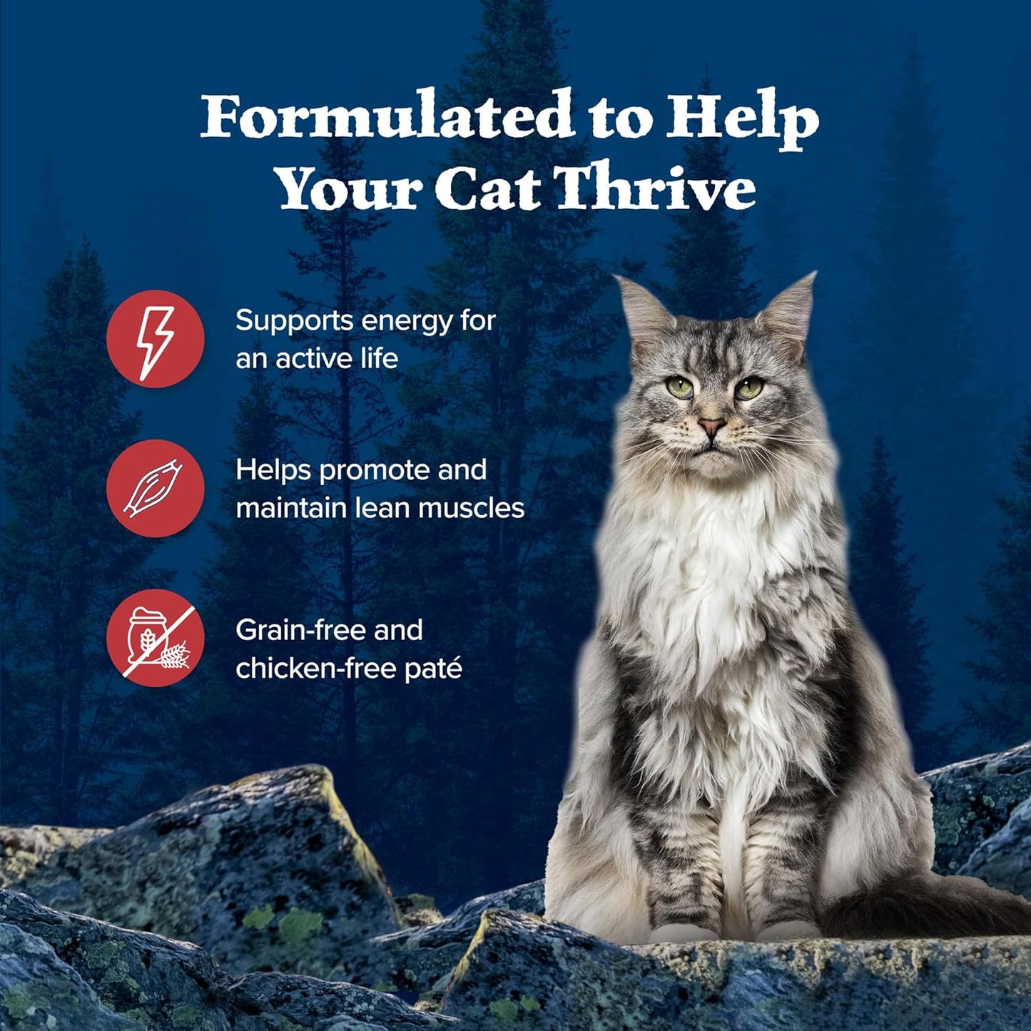 Blue Buffalo Wilderness Rocky Mountain Recipe Flaked Wet Cat Food, Chicken-Free & Grain-Free Recipe, Made with Natural Ingredients, Red Meat in Tasty Gravy, 5.5-oz. Cans (24 Count)