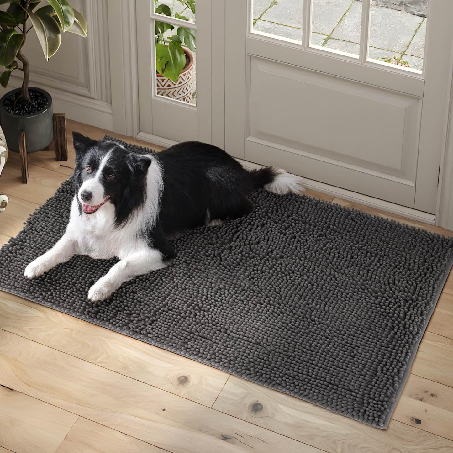 Dog Door Mat Indoor Entrance, 72" x 48" Absorbent Chenille Door Rugs for Entryway Indoor, Non-Slip Dog Mud Mat for Muddy Paws, Soft, Washable - Pet Explorer