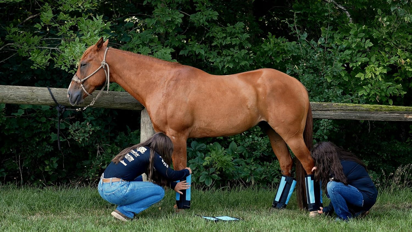 Warrior Fly Boots for Horses - Breathable Mesh Horse Boots for Fly Protection & Leg Comfort - Set of 4 (The Warrior, Light Blue)