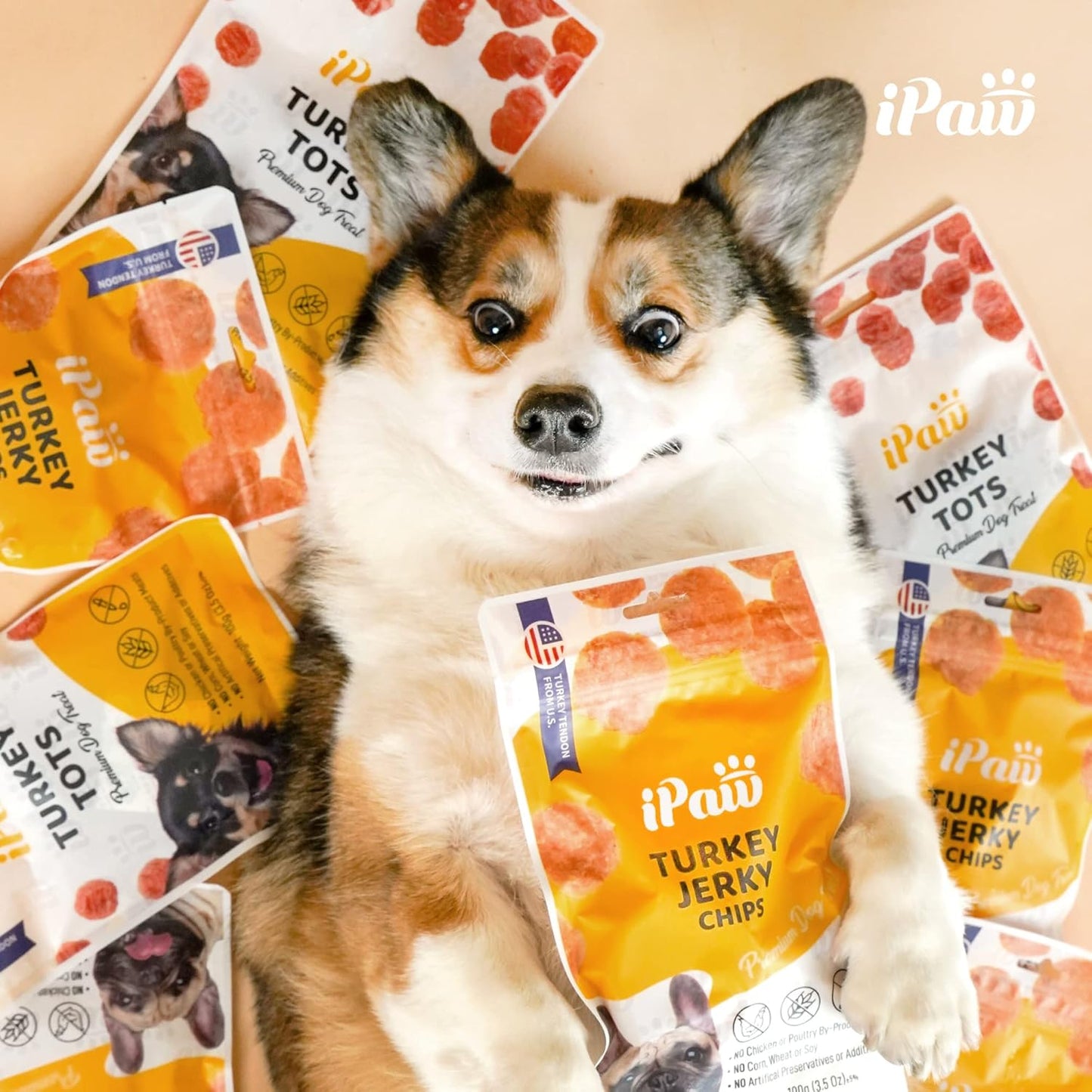 iPaw Dog Treats for Puppy Training, All Natural Human Grade Dog Treat, Hypoallergenic, Easy to Digest (Chicken Chips), 2 Packs