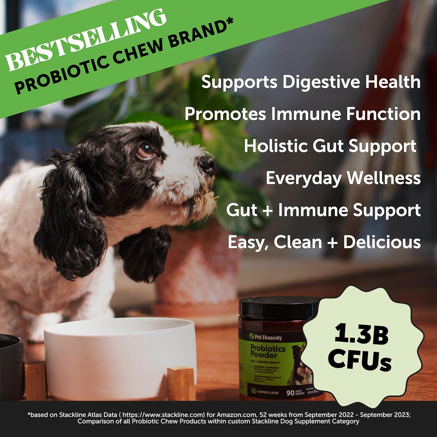 All-Natural Probiotic & Pumpkin Powder Dog Supplement - Prebiotics, Probiotics, Enzymes & Antioxidants for Healthy Gut Flora, Digestion & Immunity (90 Scoops) - Pet Explorer