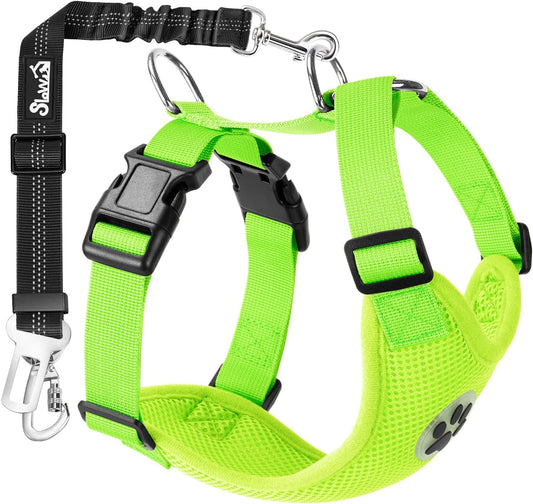 SlowTon Dog Seat Belt Harness for Car, Dog Car Harness Adjustable Mesh Breathable & Dog Seatbelt Safety Tether with Elastic Bungee for Small Medium Large Pets(Lime, Double Clip, L) - Pet Explorer