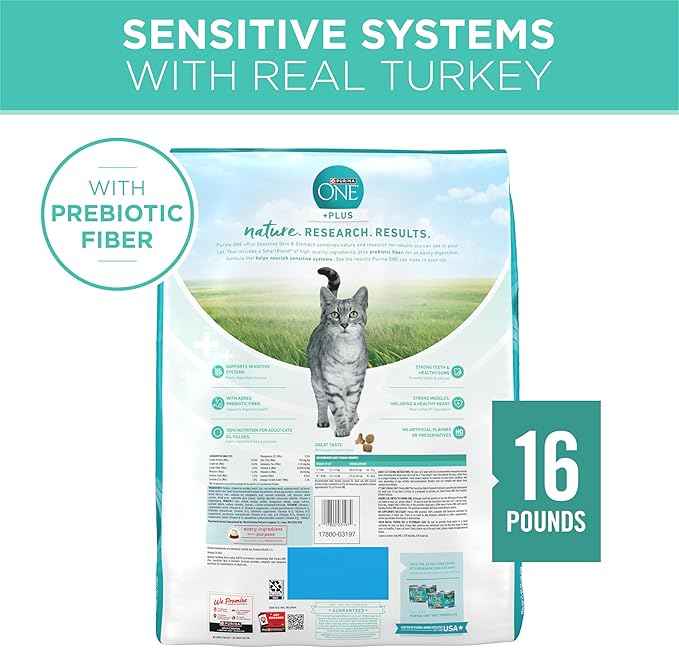 Purina ONE Sensitive Stomach, Sensitive Skin, Natural Dry Cat Food, +Plus Sensitive Skin and Stomach Formula - 16 lb. Bag