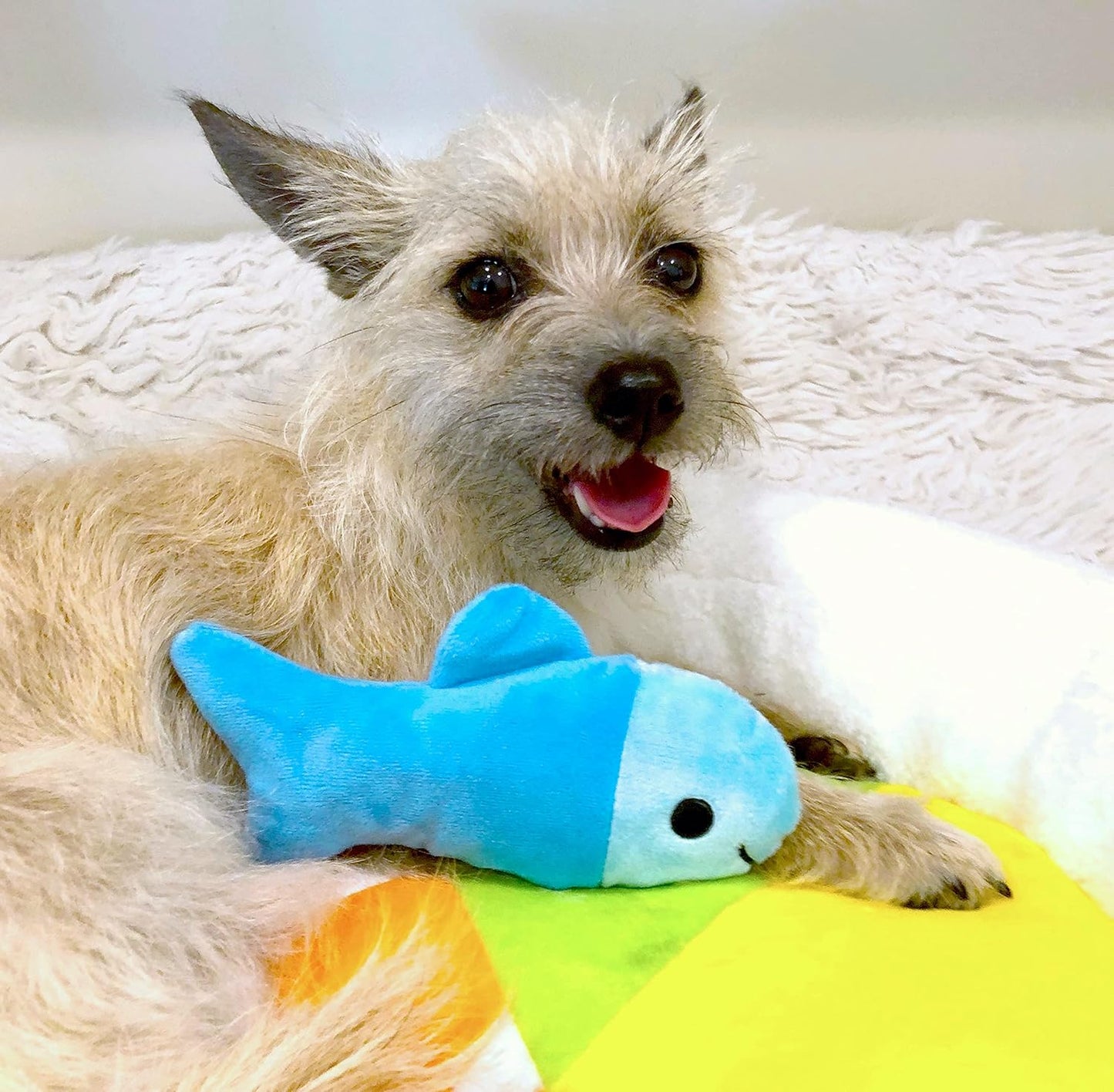 TONBO Soft Plush Small Cute and Cozy Food Dog Cat Bed, Washer and Dryer Friendly (Sushi Roll) - Pet Explorer
