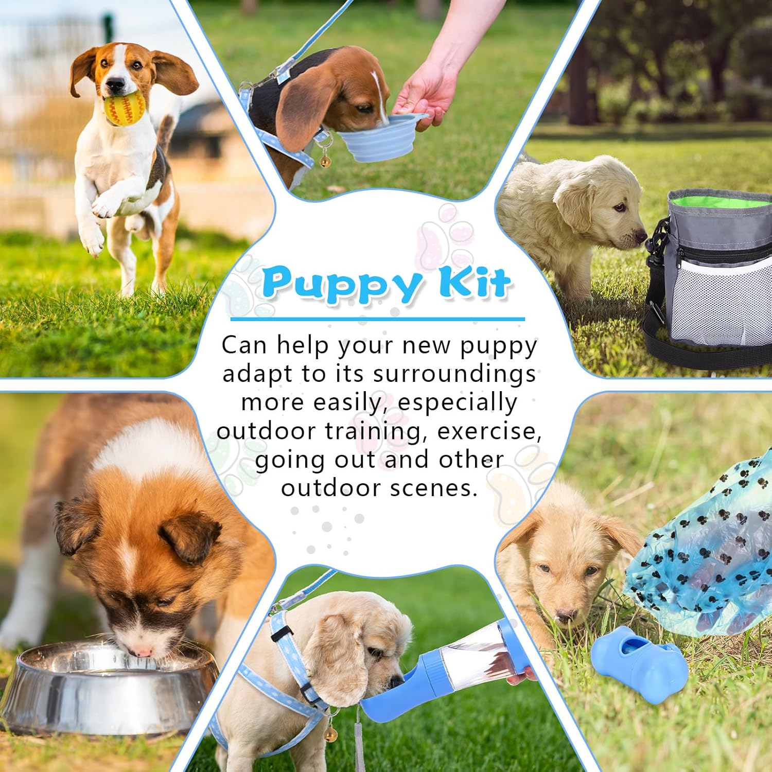 65 Pcs Puppy Supplies Starter Kit Small Dog Essentials Includes Dog Leash, Toys, Bowl, Brushes, Water Bottles, pet Blankets Puppy Accessories for New Welcome Gift Supplies(Cool,Blue) - Pet Explorer