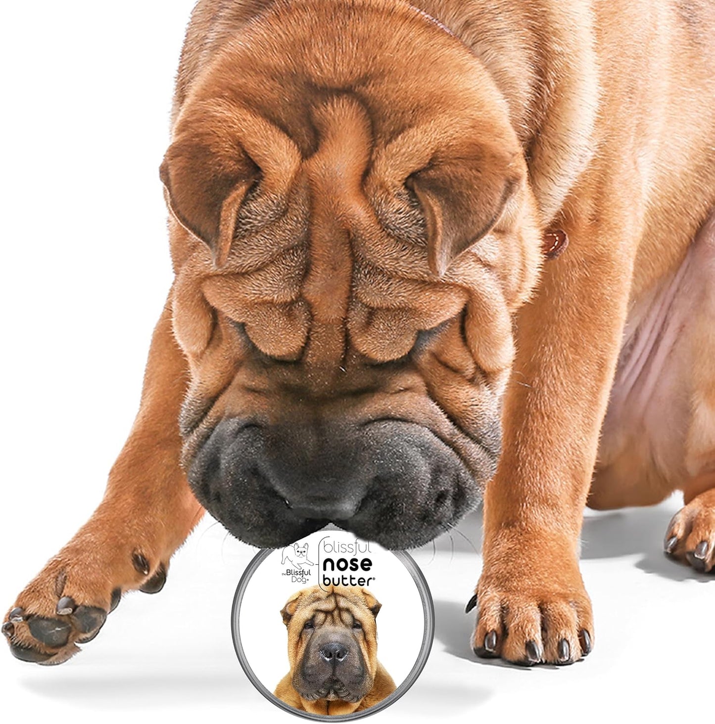The Blissful Dog Chinese Shar-Pei Unscented Nose Butter, 16oz