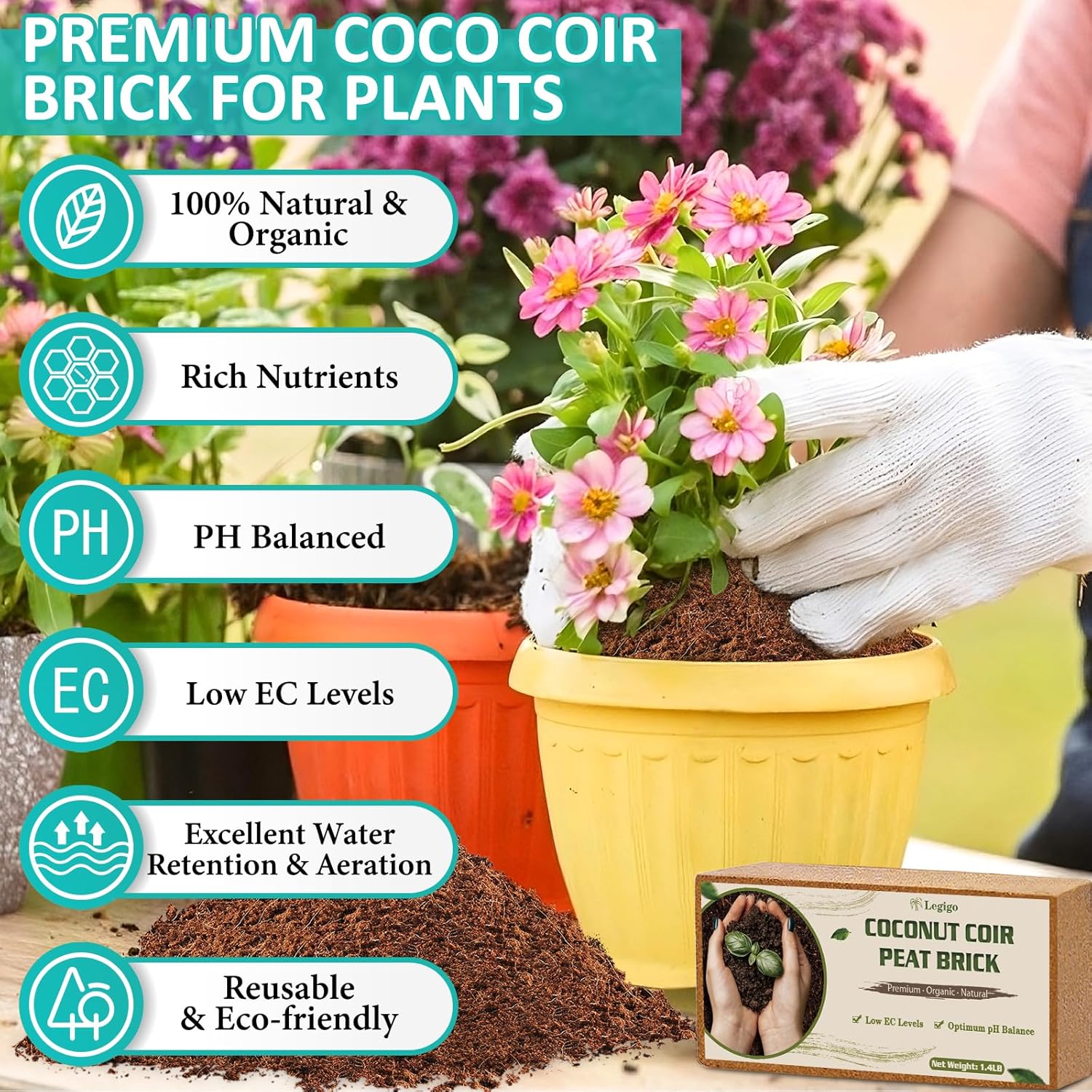 Legigo 10 Pack Premium Coco Coir Brick for Plants- 100% Organic Compressed Coconut Coir Bricks Starting Mix, Coco Coir Fiber Coconut Husk for Planting, Gardening, Potting Soil Substrate, Herbs - Pet Explorer