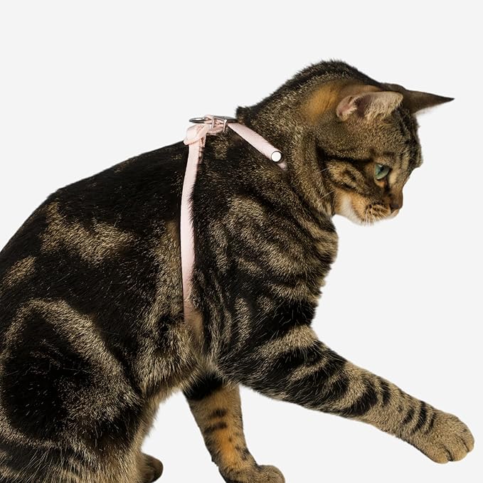 Escape Proof Cat Harness Anti-Choke Quick Release Adjustable QR Code Soft Nylon Durable Lightweight Figure 8 Cat Harness Anti Escape for Kitten Small Medium Large Cats (Space Gray, S)