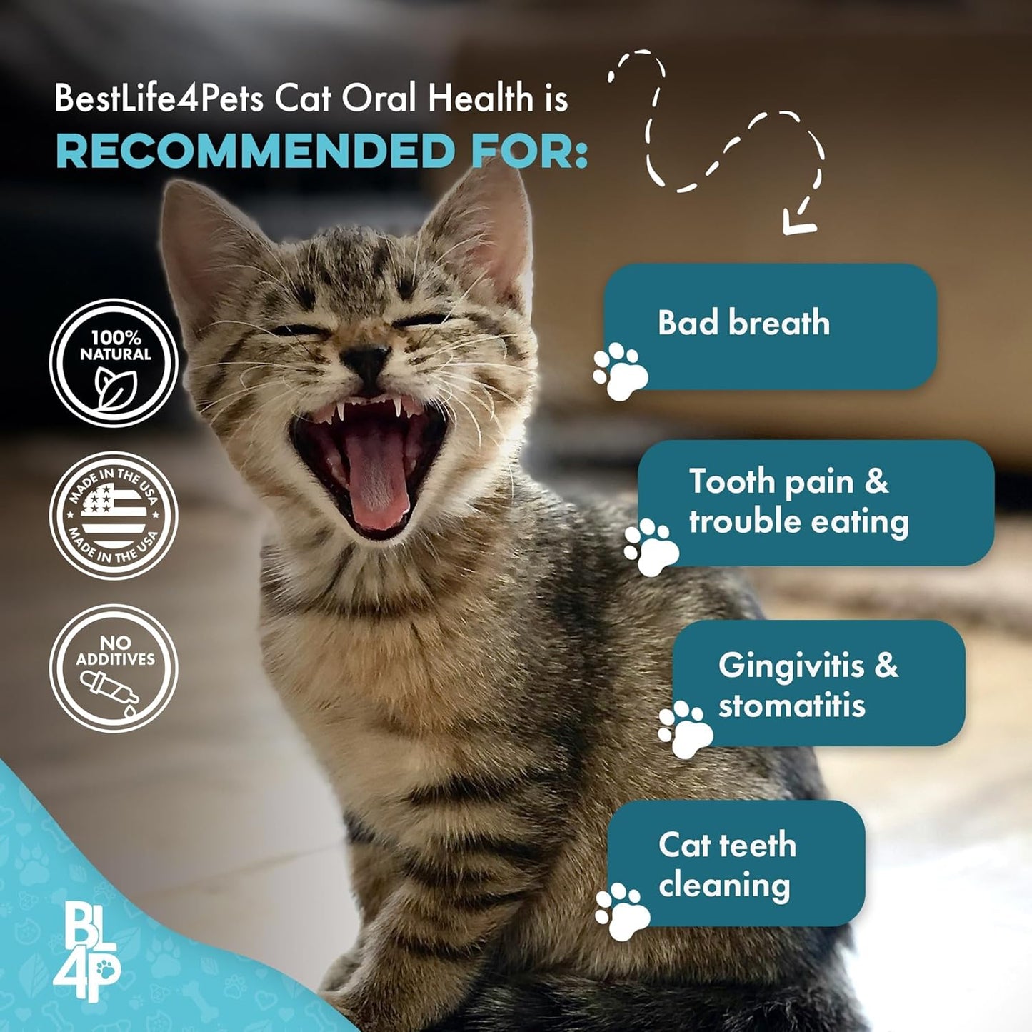 Cat Dental Supplement for Bad Breath, Tartar & Gum Support – Natural Oral Tablets for Fresh Breath, Teeth & Gum Wellness and Plaque Control – Odorless & Tasteless – 400 Easy-to-Give Pills - Pet Explorer