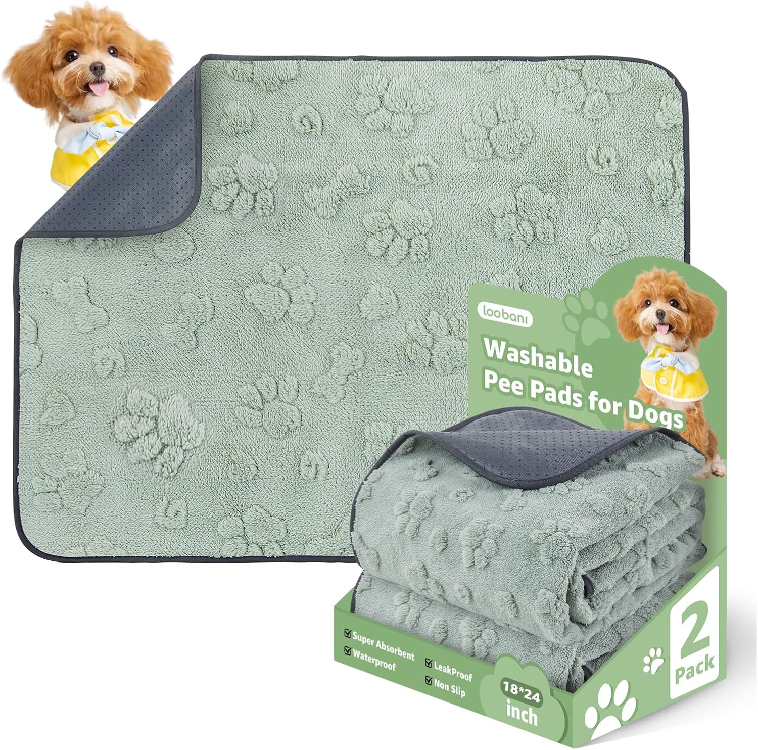 LOOBANI Washable Pee Pads for Dogs: 2 Pack Super Absorbent Reusable Puppy Pads, Leakproof and Waterproof Dog Training Pads Whelping Pads for Potty, Floor, Crate, Couch Bed and Travel, 18"x24" - Pet Explorer