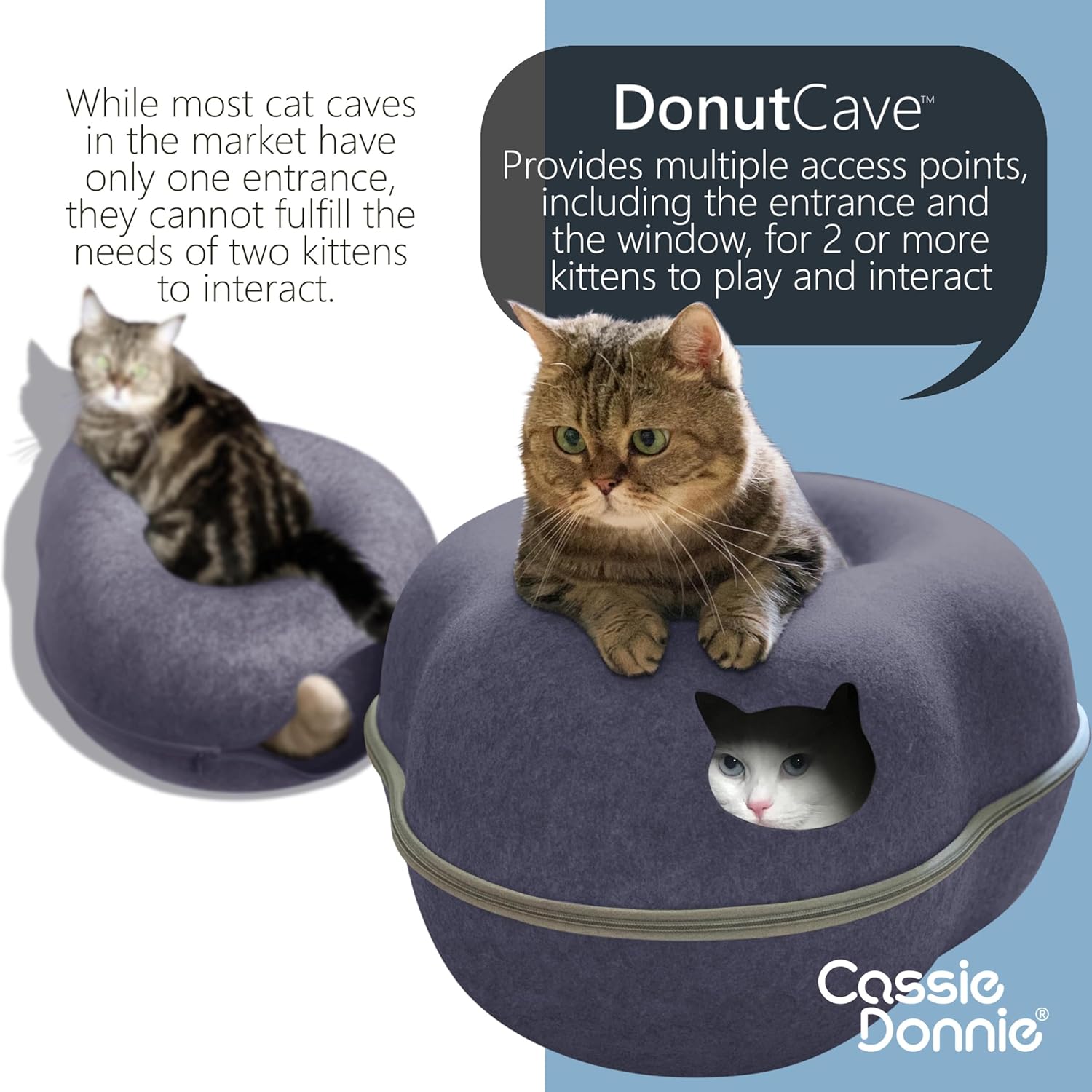 Cat Tunnel Bed for Indoor Cats, Medium Large, Donut Cave House up to 22 Lbs, Spacious for 2 Kittens (Dark Blue) - Pet Explorer