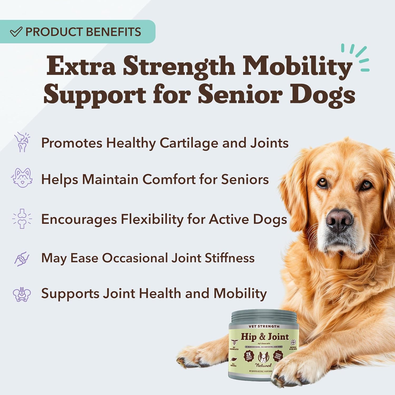 Natural Dog Company Vet Strength Hip & Joint Chews for Senior Dogs (90ct) Joint & Flexibility Support, Arthritis Relief for Senior Dogs, 1.3X Glucosamine, 2X Green Lipped Mussel & MSM for Dog Mobility - Pet Explorer