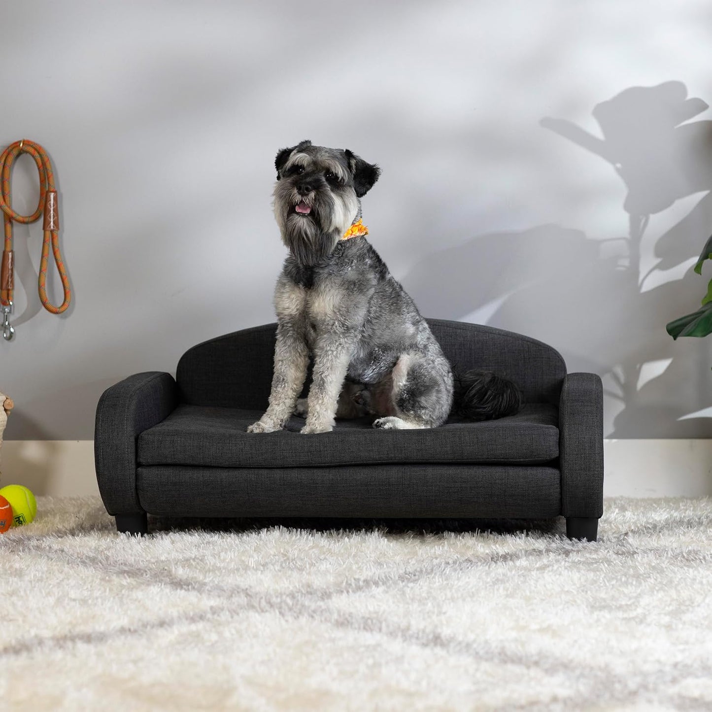 Paws & Purrs Multi-Cat Sofa Elevated Pet Bed for Indoor Cats Raised Cats Couch with Removable Washable Mattress Cover for Kittens, Dogs - 35.5" Wide, Gray - Pet Explorer