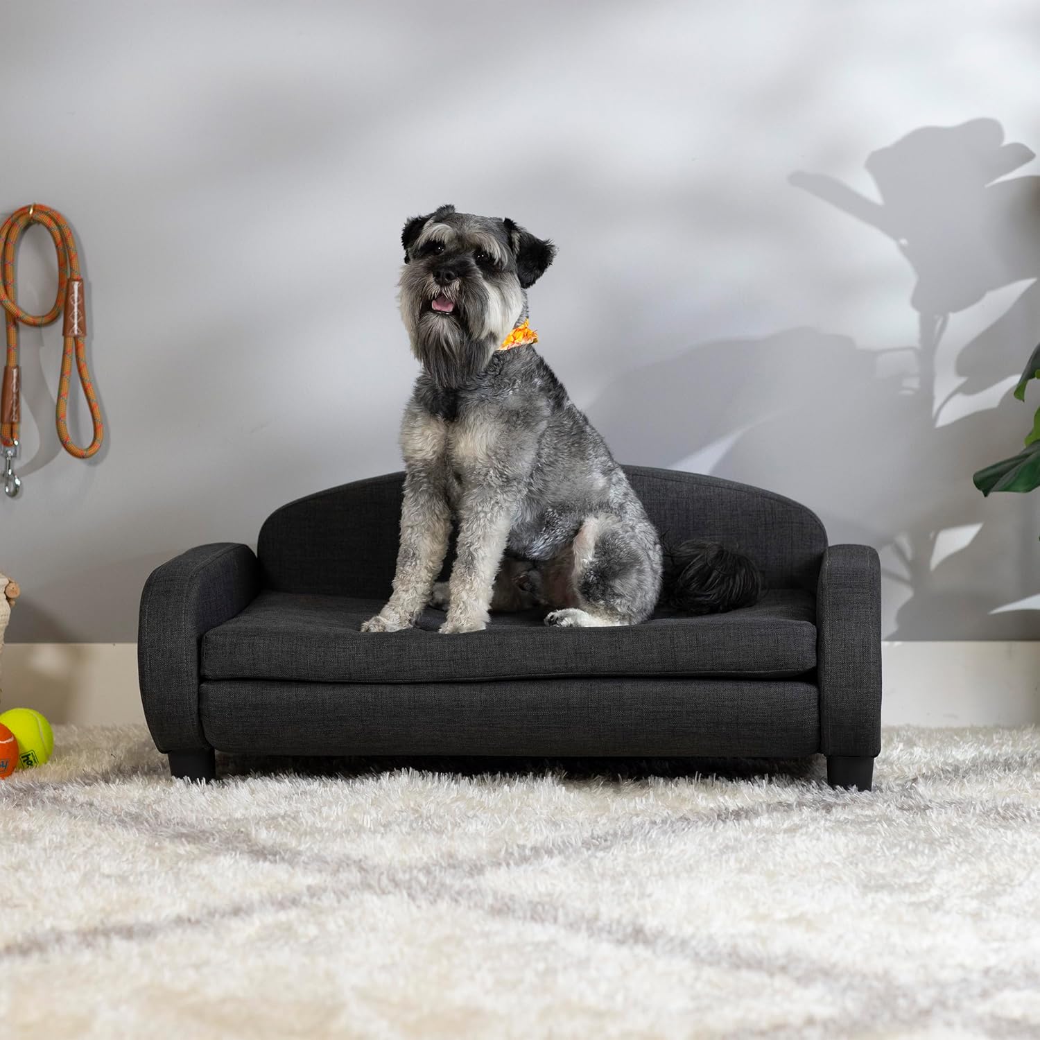 Paws & Purrs Multi-Cat Sofa Elevated Pet Bed for Indoor Cats Raised Cats Couch with Removable Washable Mattress Cover for Kittens, Dogs - 35.5" Wide, Gray - Pet Explorer