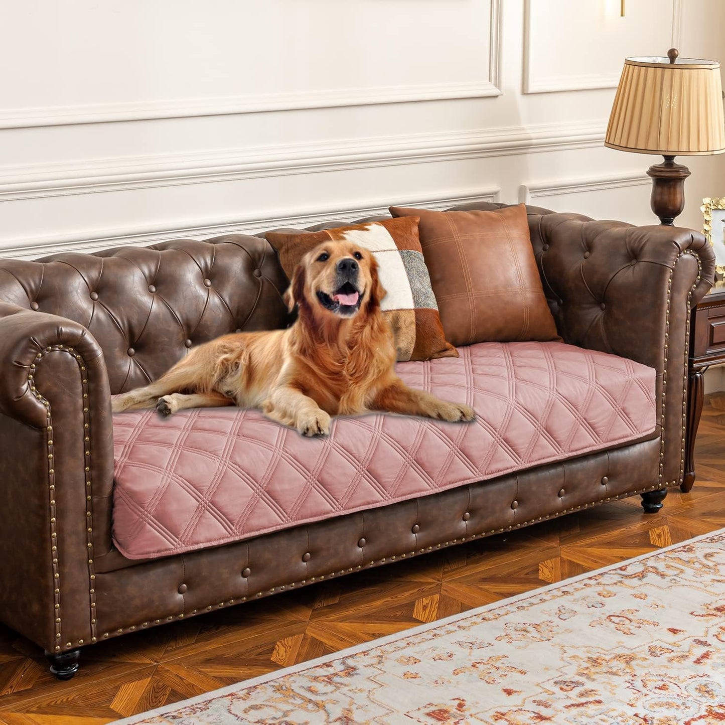 Ameritex Waterproof Dog Bed Cover Pet Blanket with Anti-Slip Back for Furniture Bed Couch Sofa - Pet Explorer