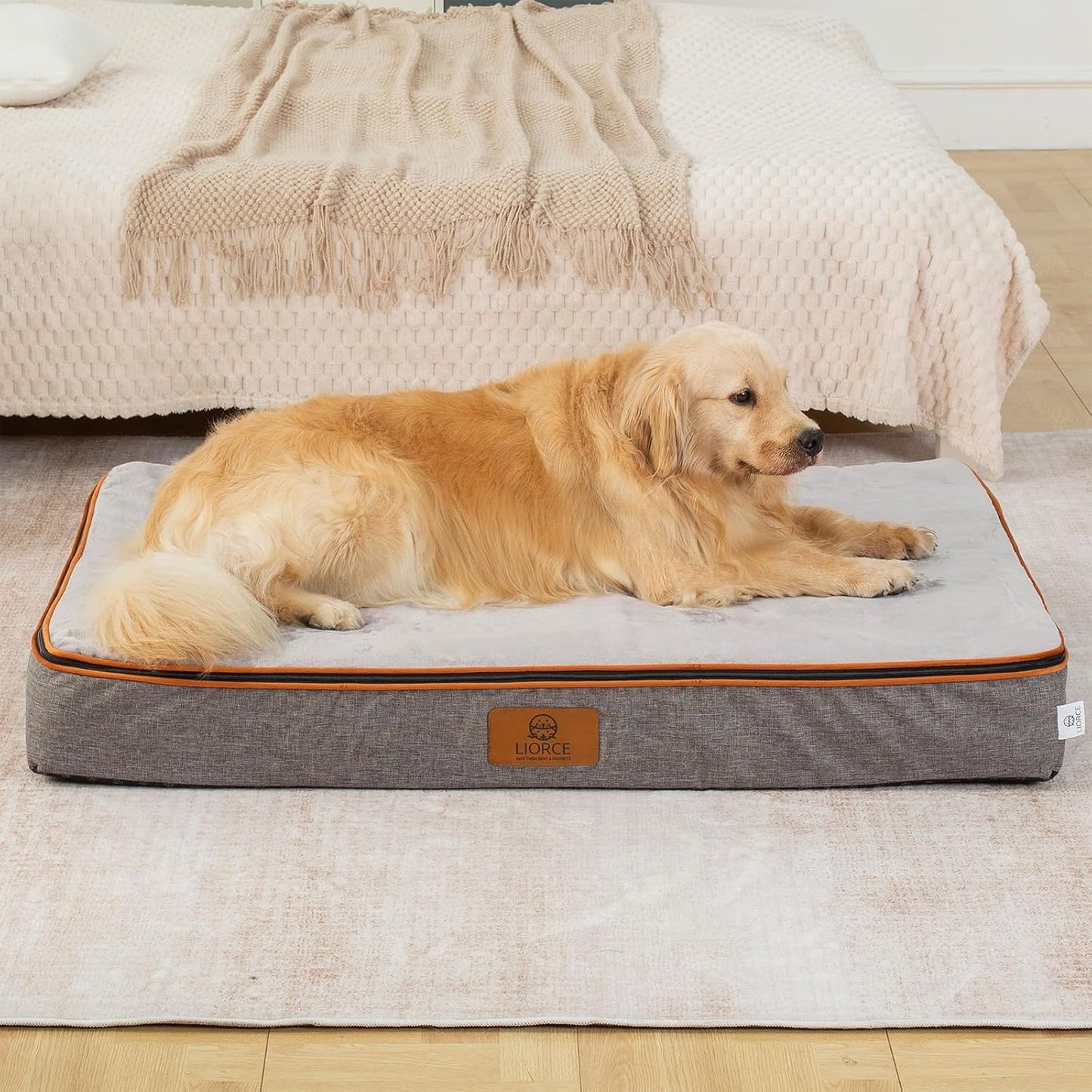 Orthopedic Memory Foam XXL Dog Bed - 6" Thick Beds for Extra Large Sized Dog - Waterproof Removable Washable Cover & Wrap-Around Zipper - Ultimate Comfort & Easy Maintenance, Light Grey - Pet Explorer