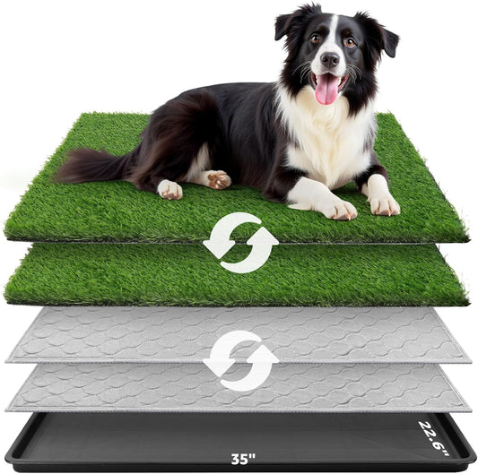 Dog Grass Large Potty Patch, Dog Litter Boxes Artificial Grass Bathroom Turf for Pet Training, Washable Puppy Pee Pad, Perfect Indoor/Outdoor Portable Potty Pet Loo - Pet Explorer