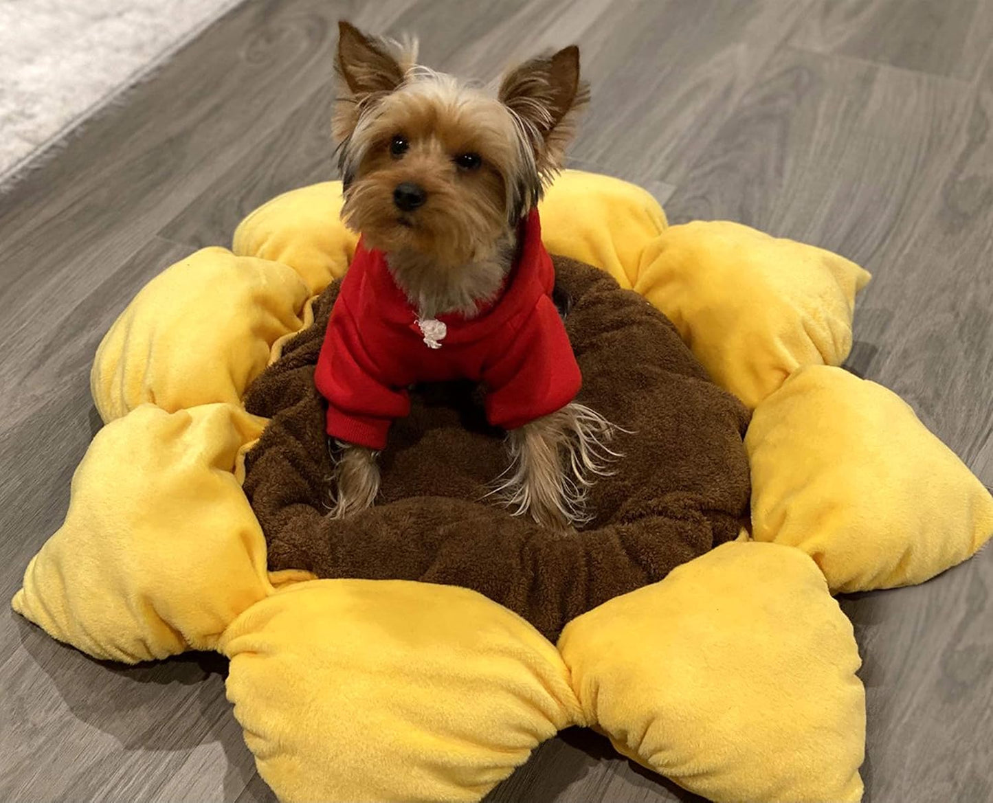 TONBO Soft Plush Small Cute and Cozy Nature Dog Cat Bed, Washer and Dryer Friendly (Sunflower) - Pet Explorer