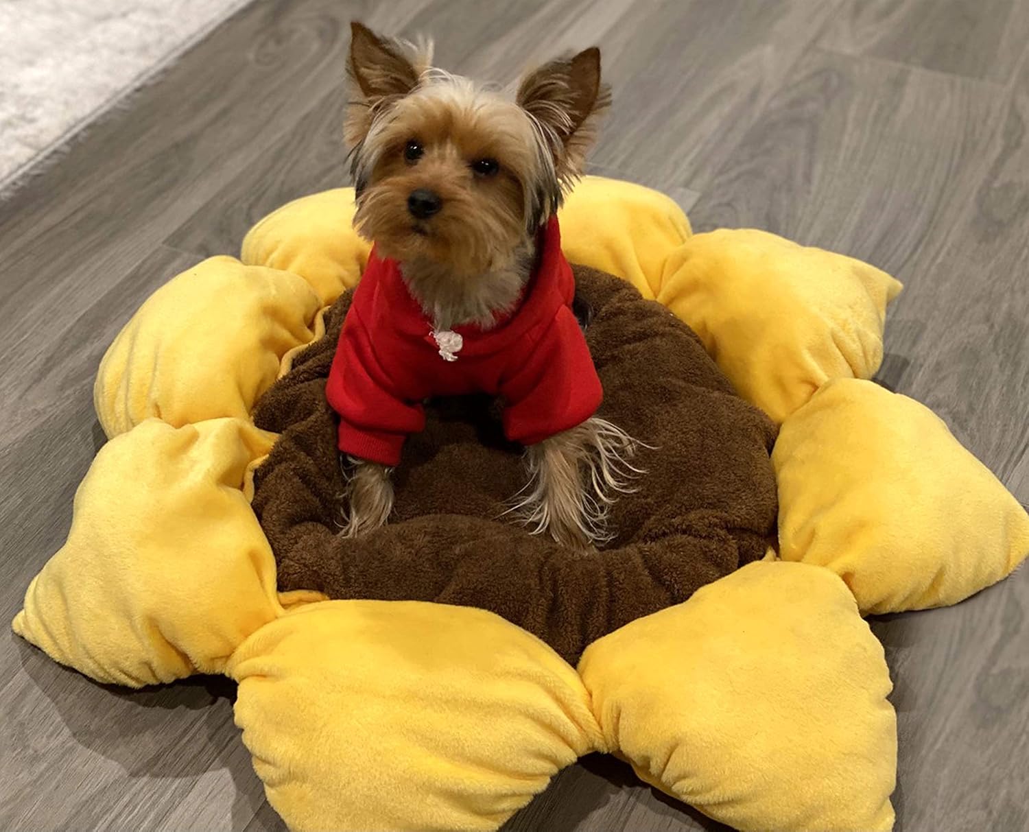 TONBO Soft Plush Small Cute and Cozy Nature Dog Cat Bed, Washer and Dryer Friendly (Sunflower) - Pet Explorer